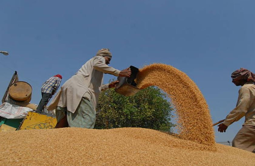 In Punjab, farmers growing vegetables have incurred losses owing to lockdown.