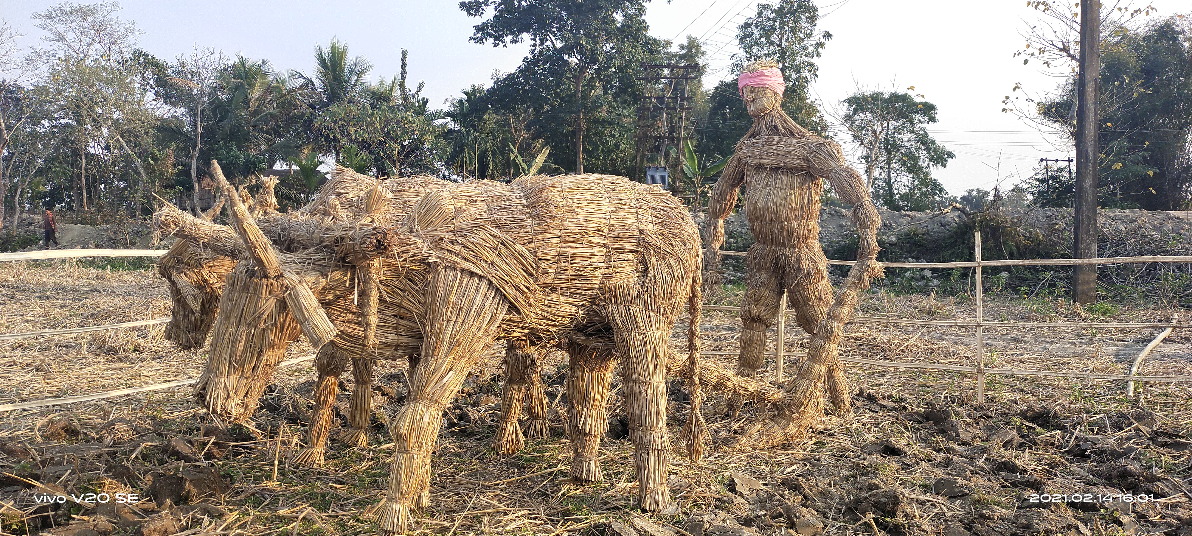 ৰাজ্যত আলি আয়ে লিগাঙৰ প্ৰস্তুতি তুংগত