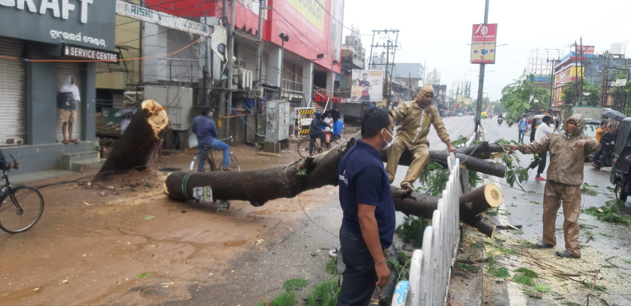 طوفان کے بعد سڑکوں پر گرے درخت