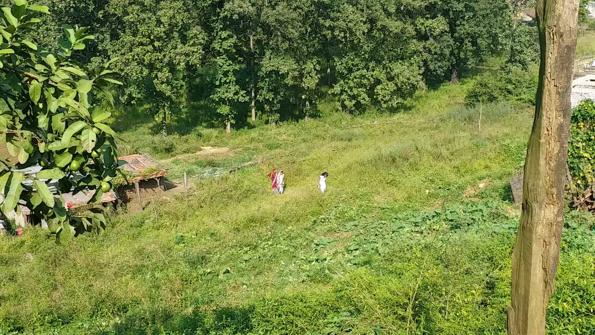 अमरावती जिल्ह्यात असलेले चिखलदरा तालुक्यातील माडिझपड हे गाव