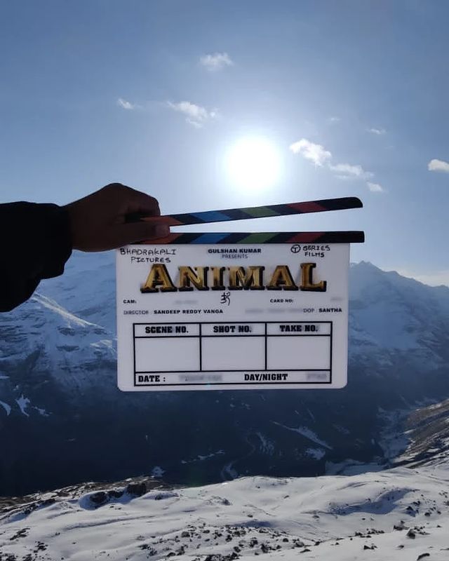 animal shoot begins