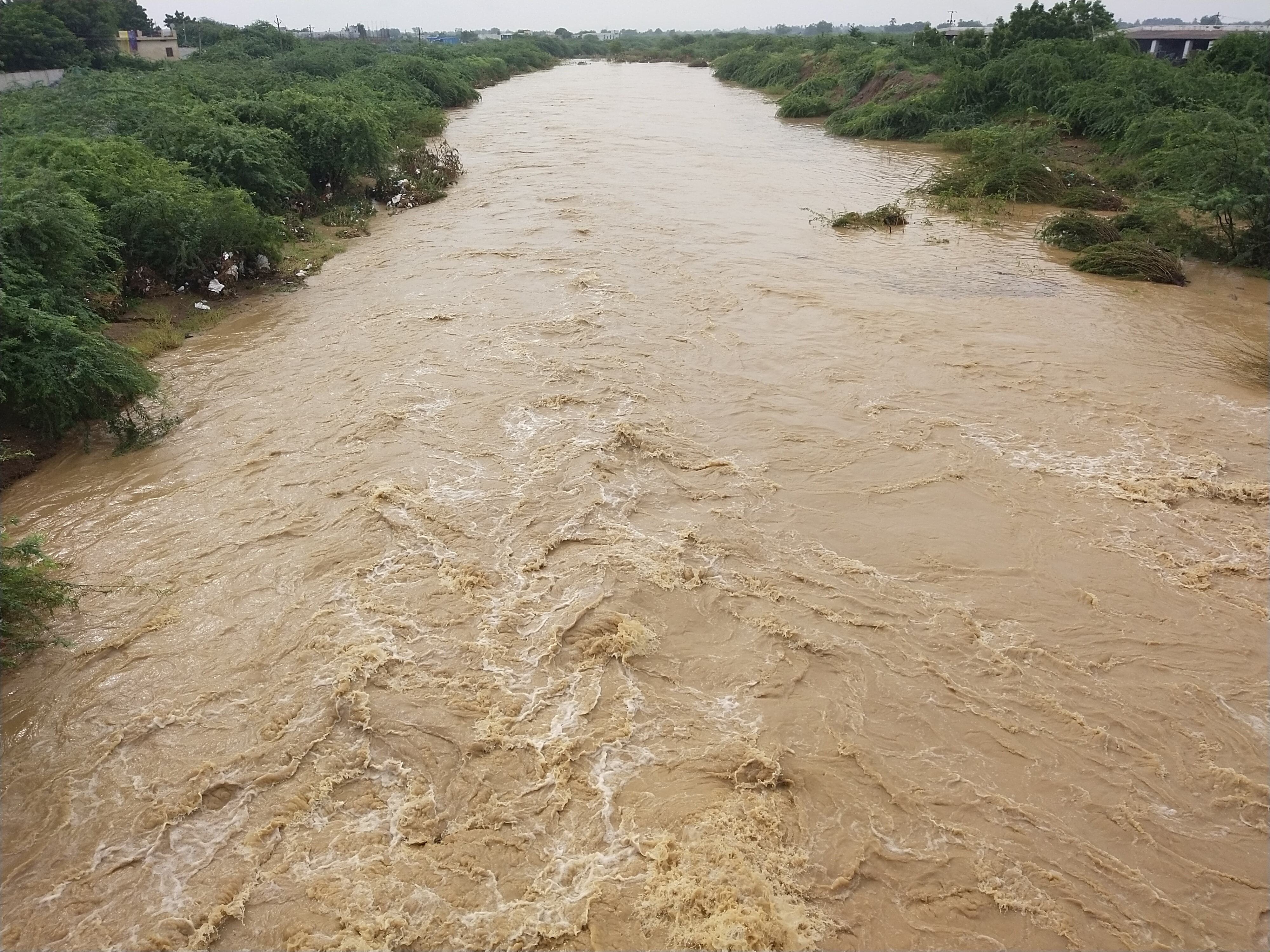 rains at tadipathri