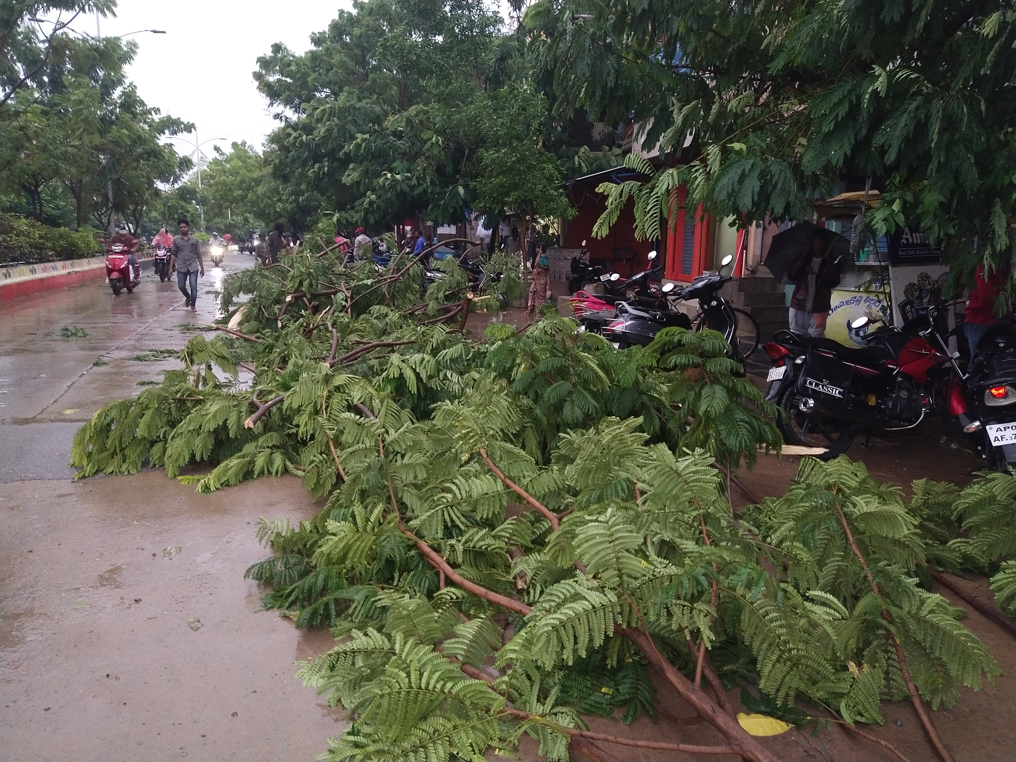 rains at tadipathri