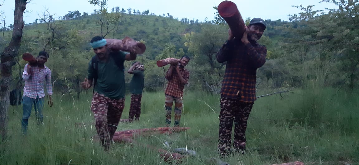 red sandal seized at srirangaraju palli in kadapa