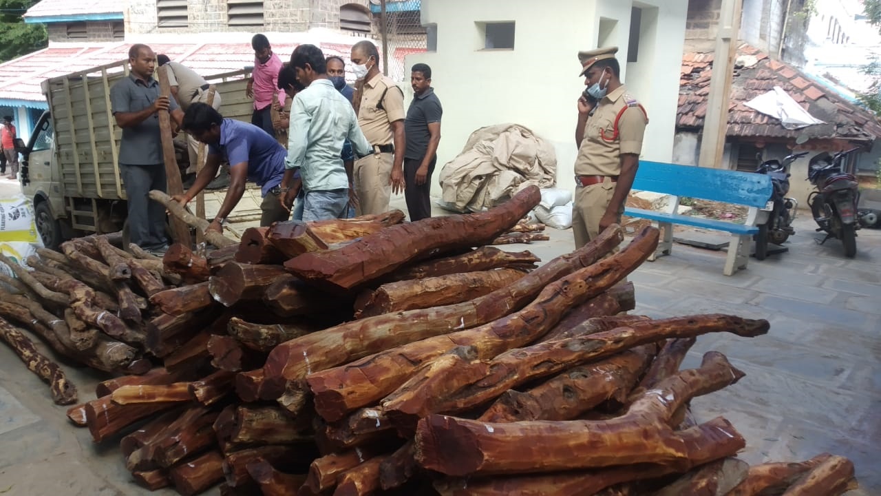 red Sandalwood Seized at nagarjuna sagar check post