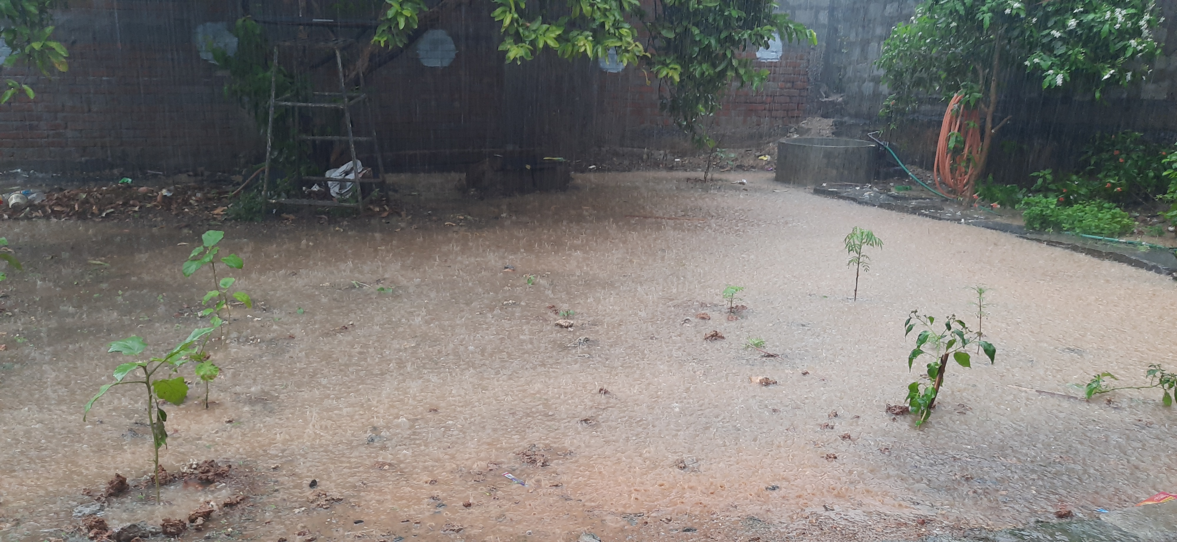 heavy rains guntur district