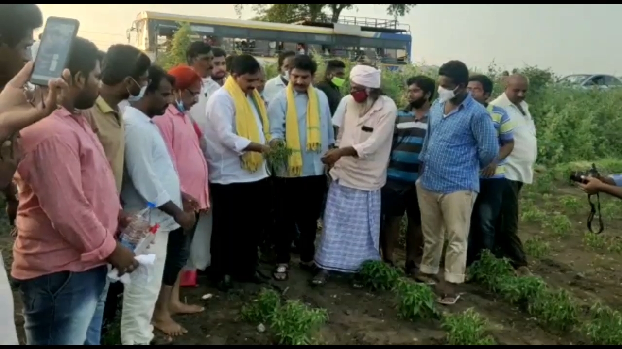 devineni uma request government to help farmers effected in nivar cyclone