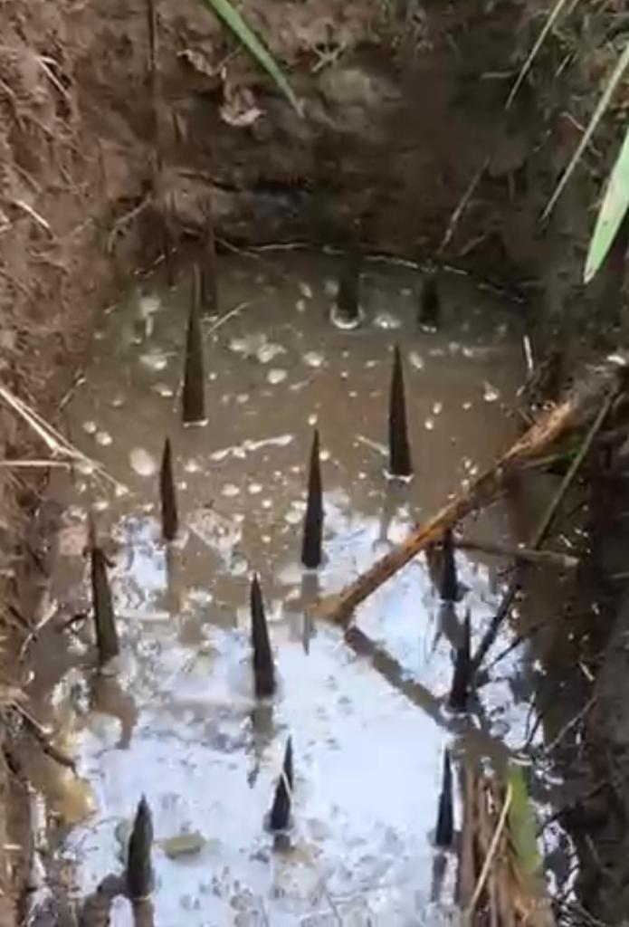 Booby traps in the Mallampeta forest area