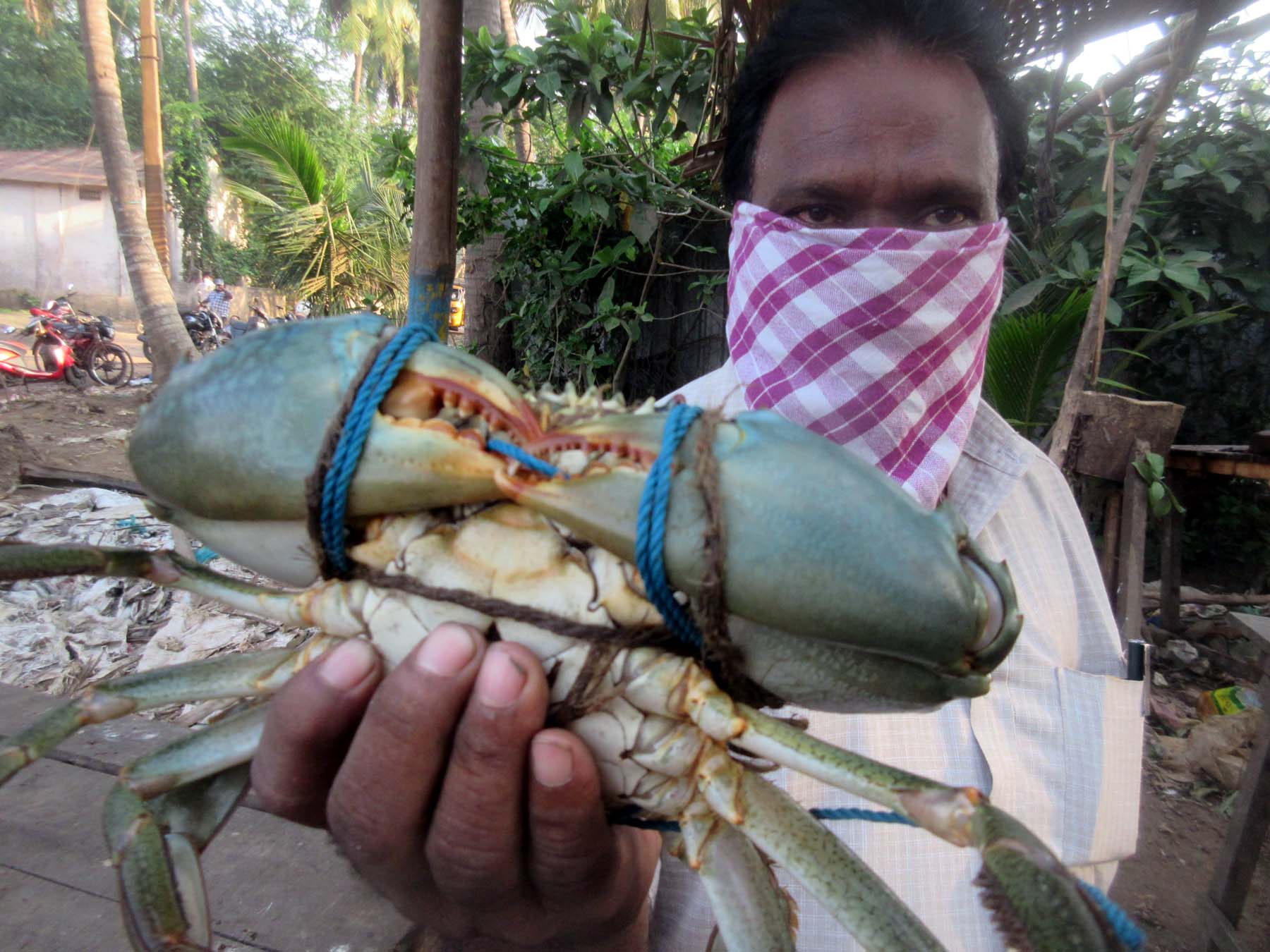 crab sold in east godavari district p.gannavaram fish market for 400 rupees