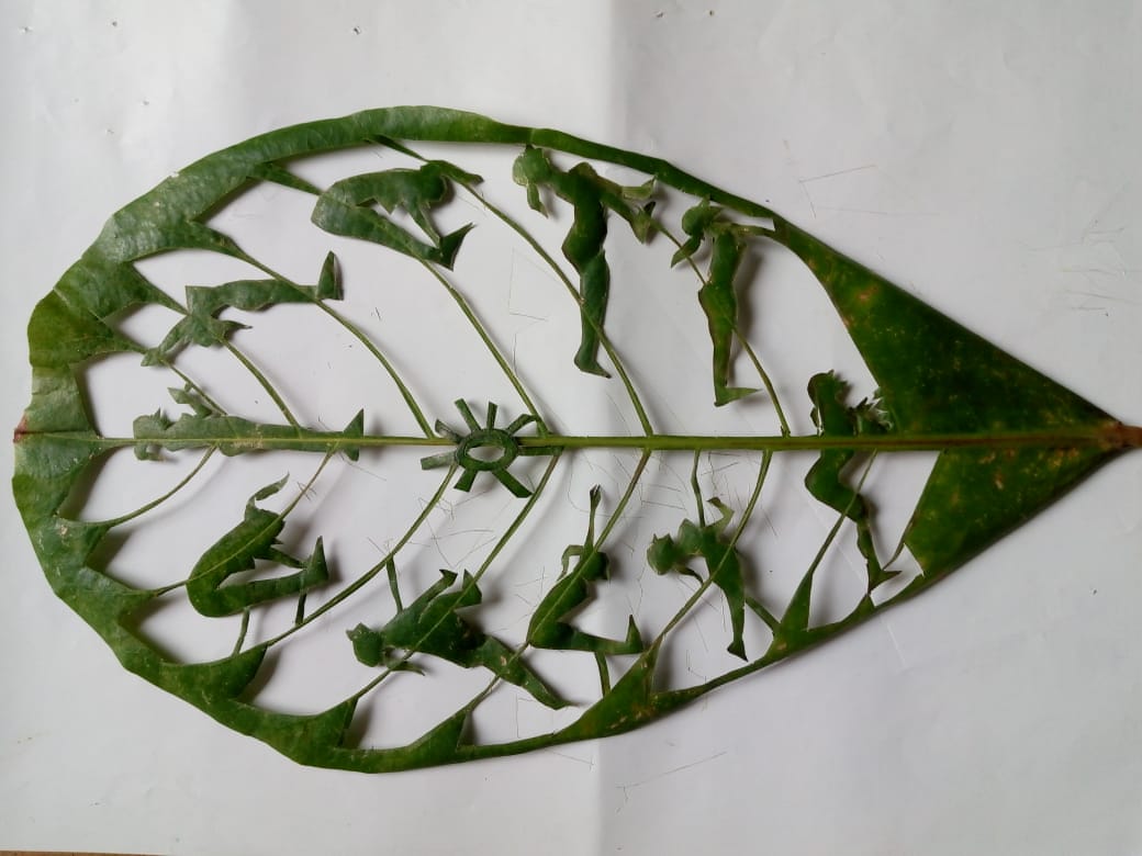 surya namaskaram in leaf