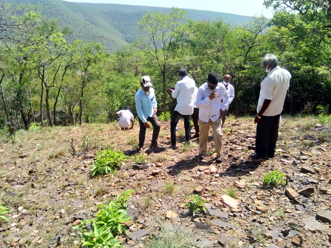 ఏనుగులు సంచరించిన ప్రాంతాన్ని పరిశీలిస్తున్న అటవీ అధికారులు