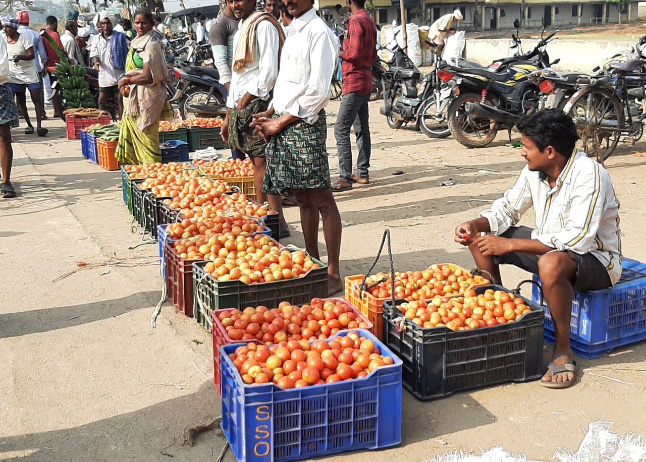 tomato farmers difficulties