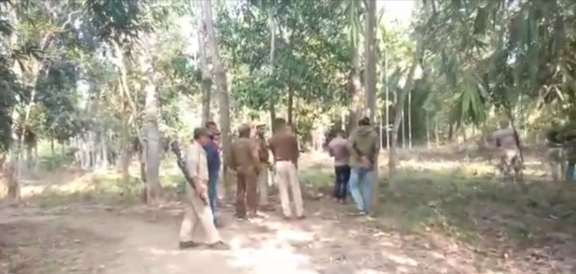 Wild elephant menace in murabari