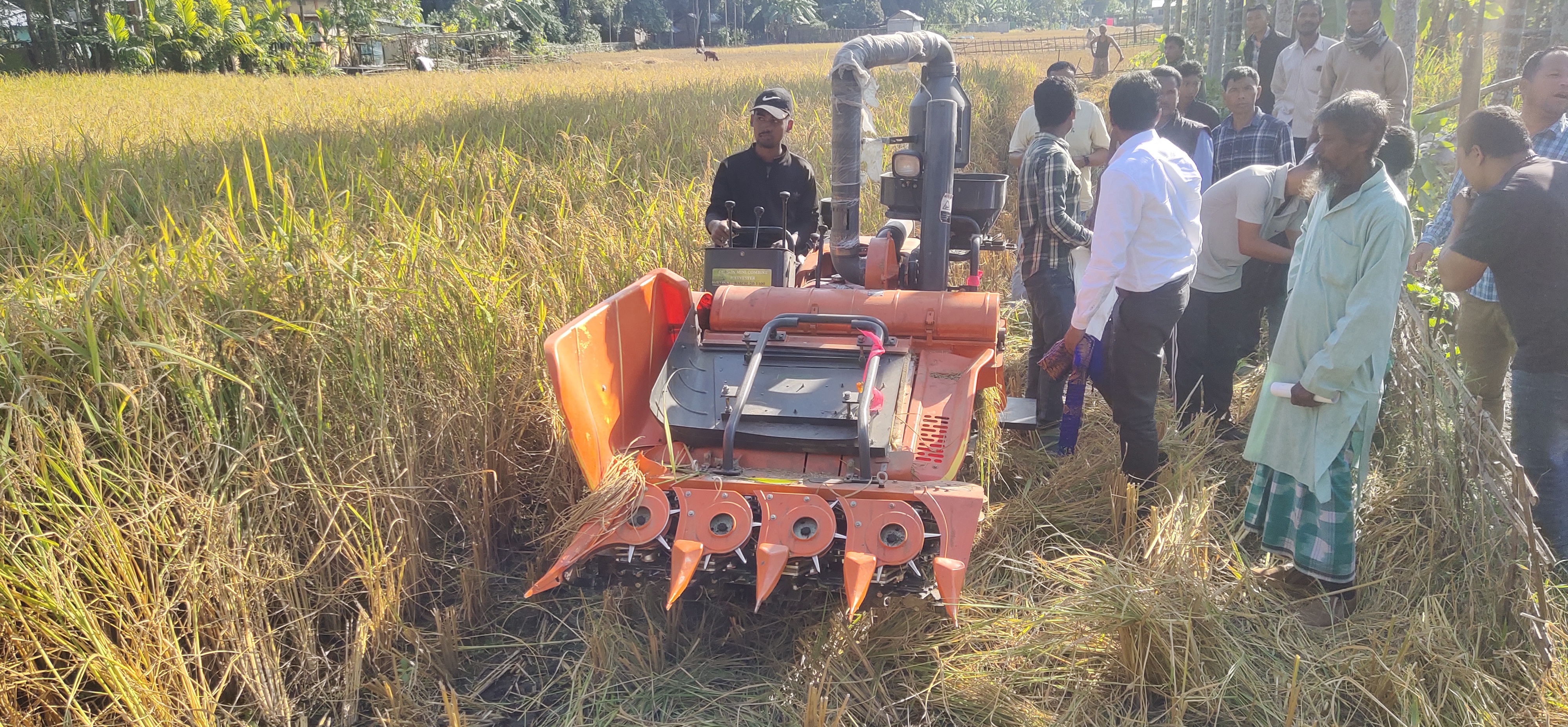 Pathar divas in Kokrajhar