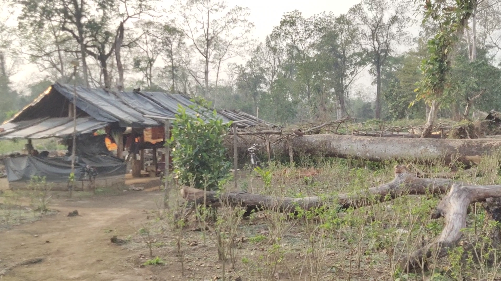 Ripu Chirang Reserve Forest