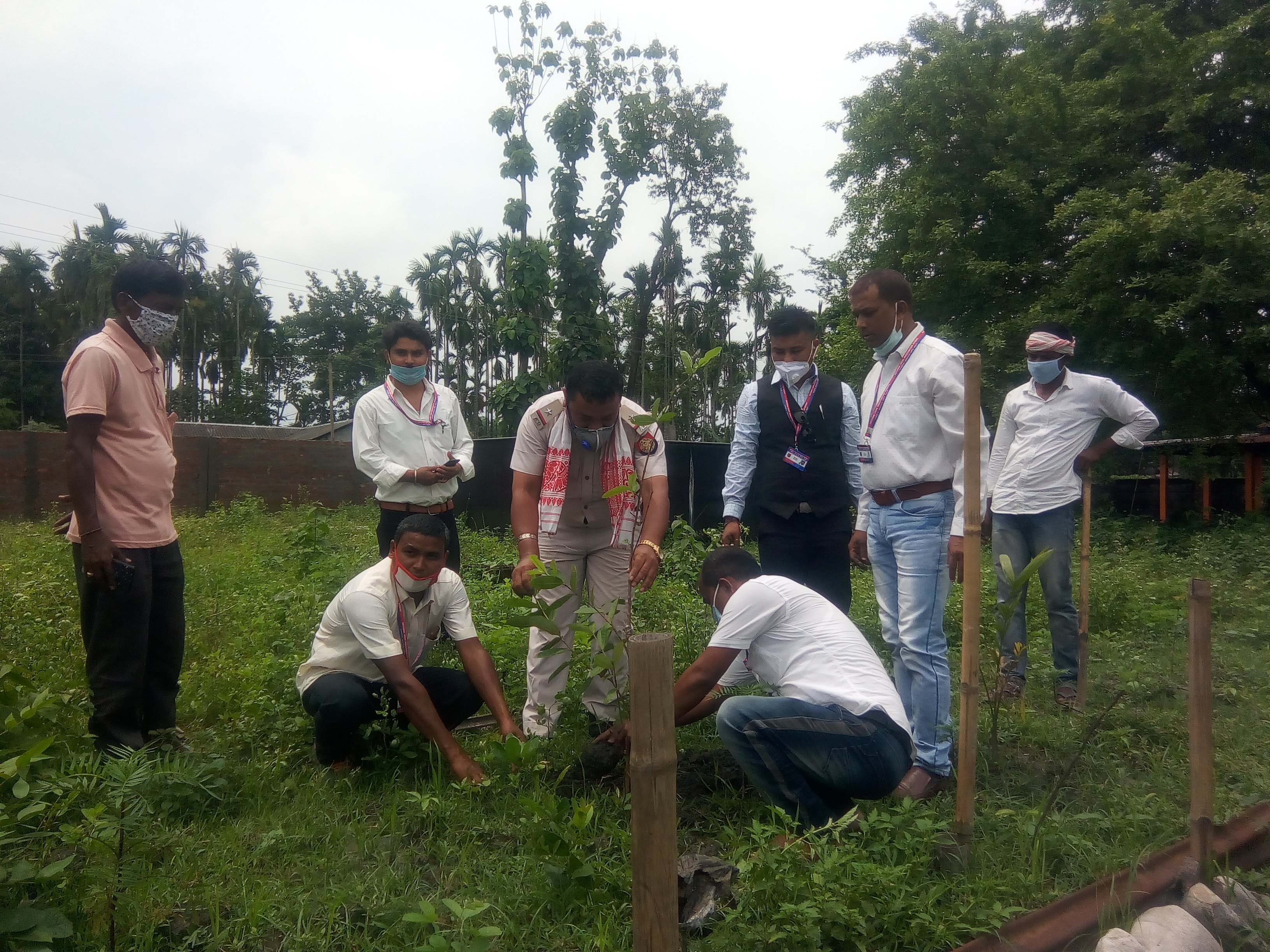 গোৰেশ্বৰৰ বিভিন্ন স্থানত গছপুলি ৰোপন