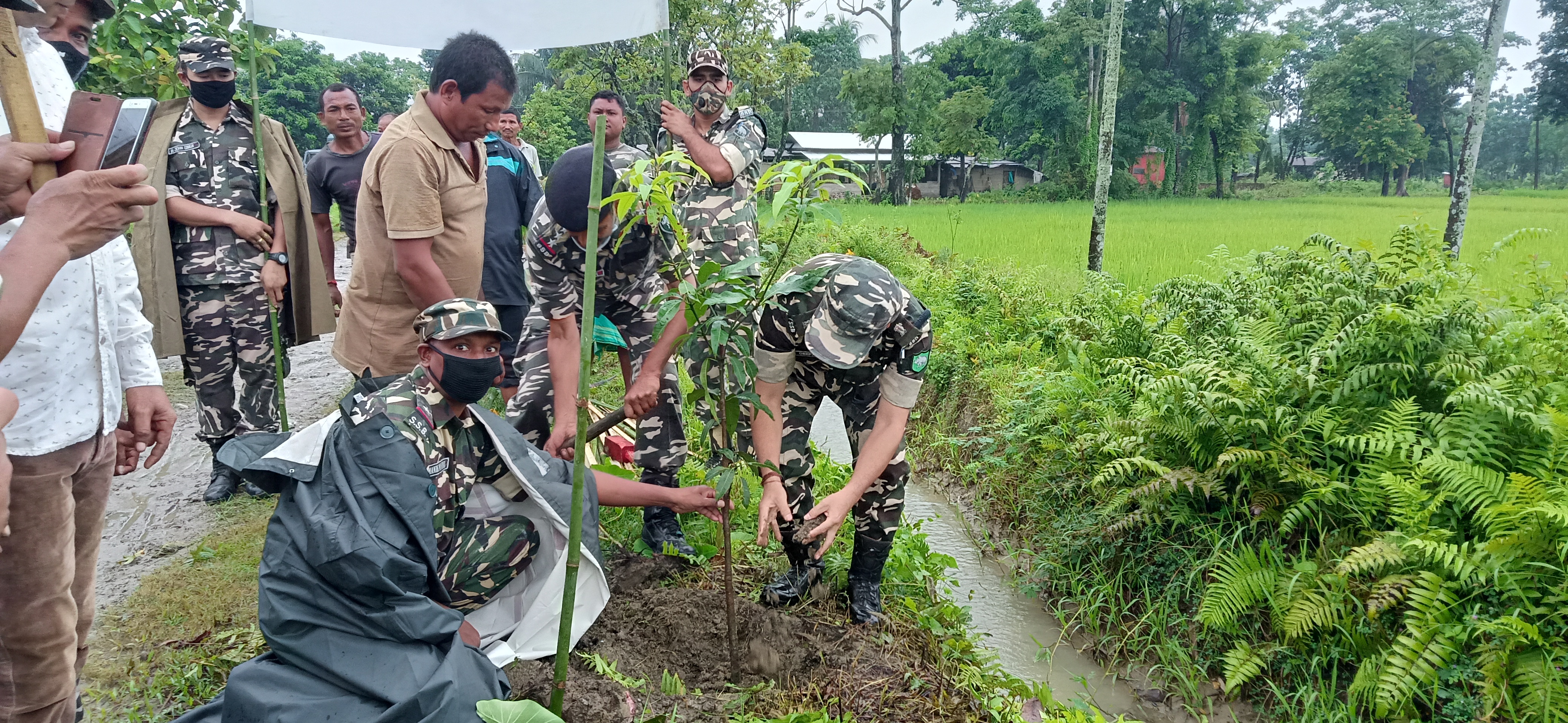 এছ.এছ.বি জোৱানৰ বৃক্ষৰোপন কাৰ্যসূচী