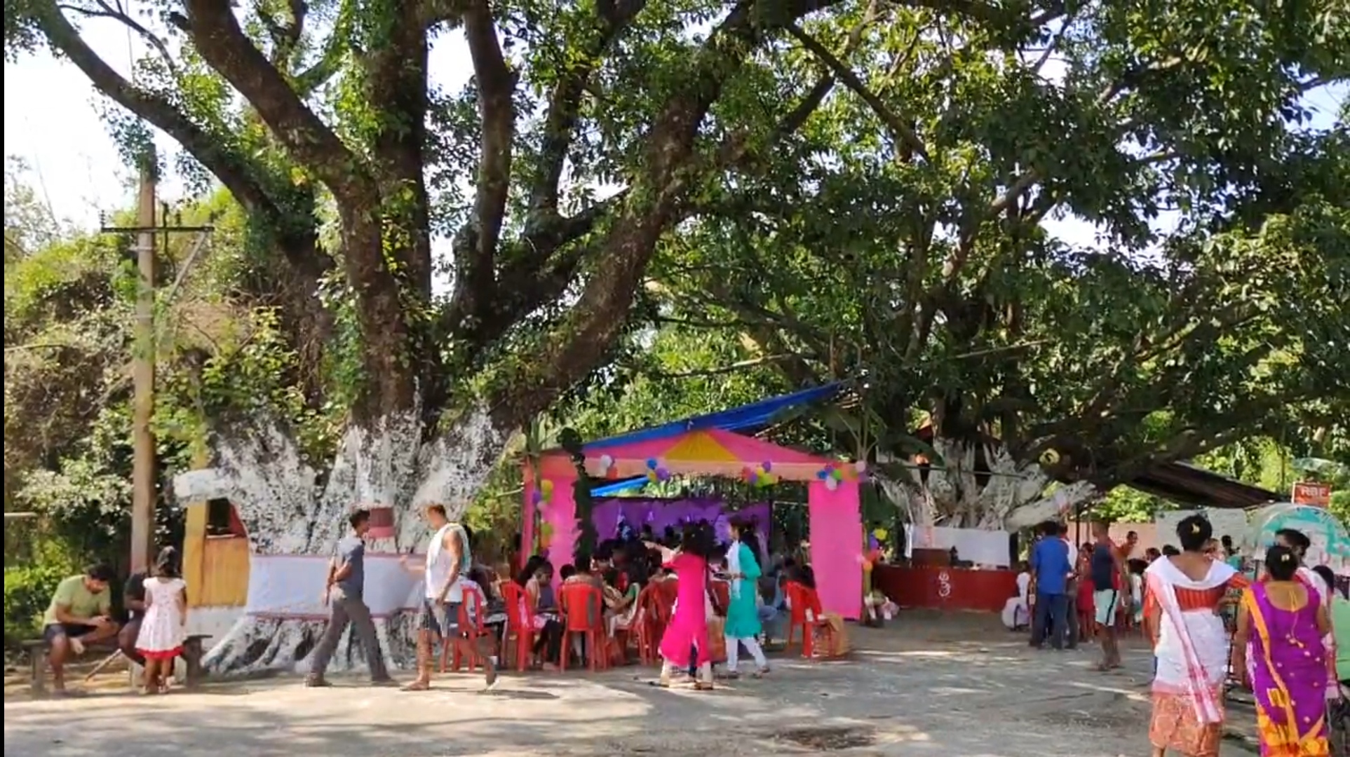 tree-wedding-ceremony-in-barpeta