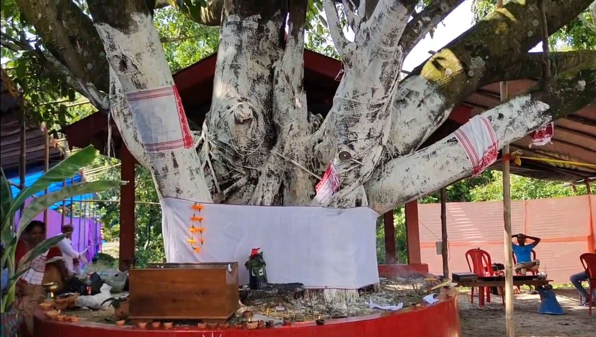 tree-wedding-ceremony-in-barpeta