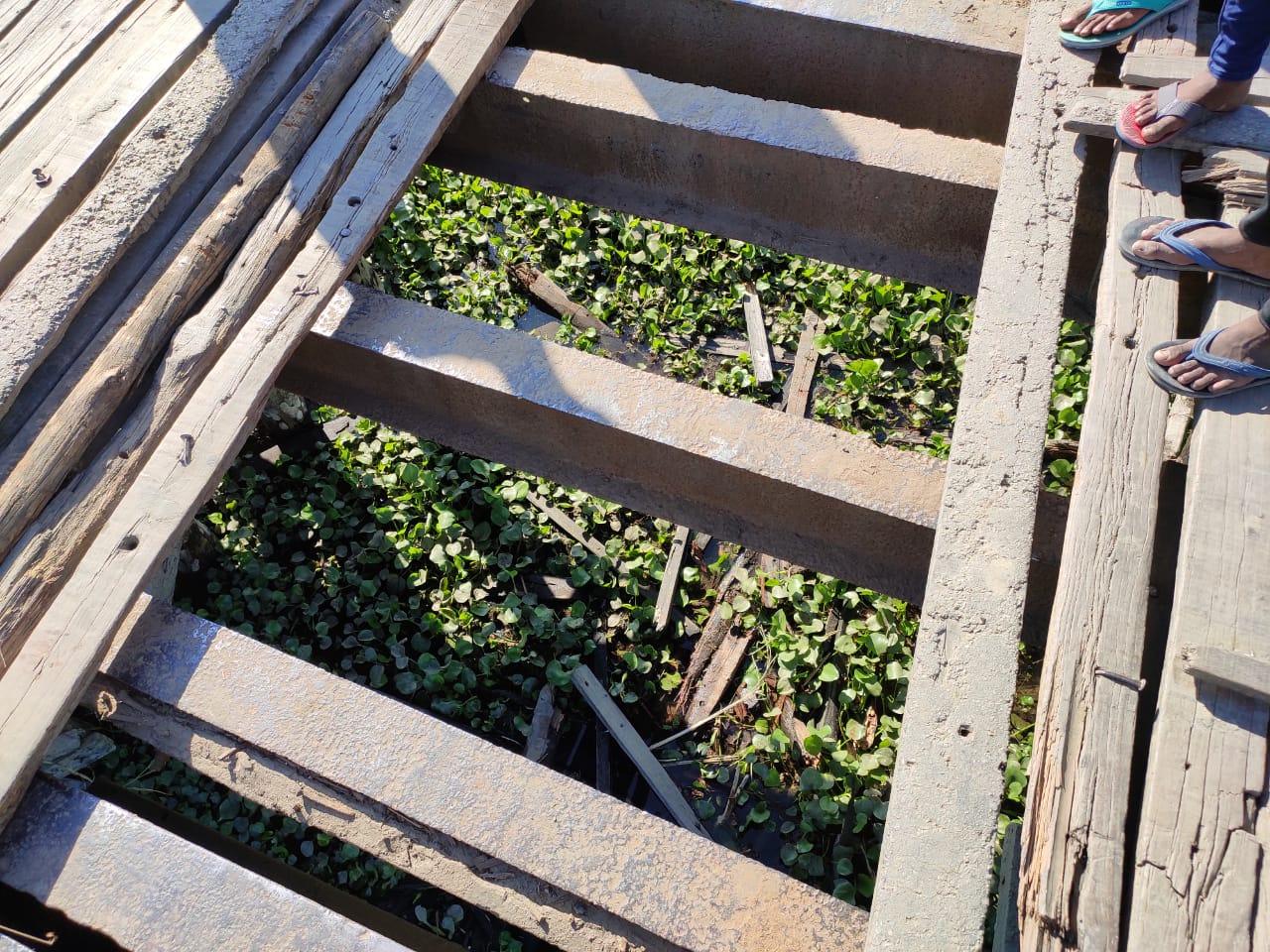 barpeta broken bridge story