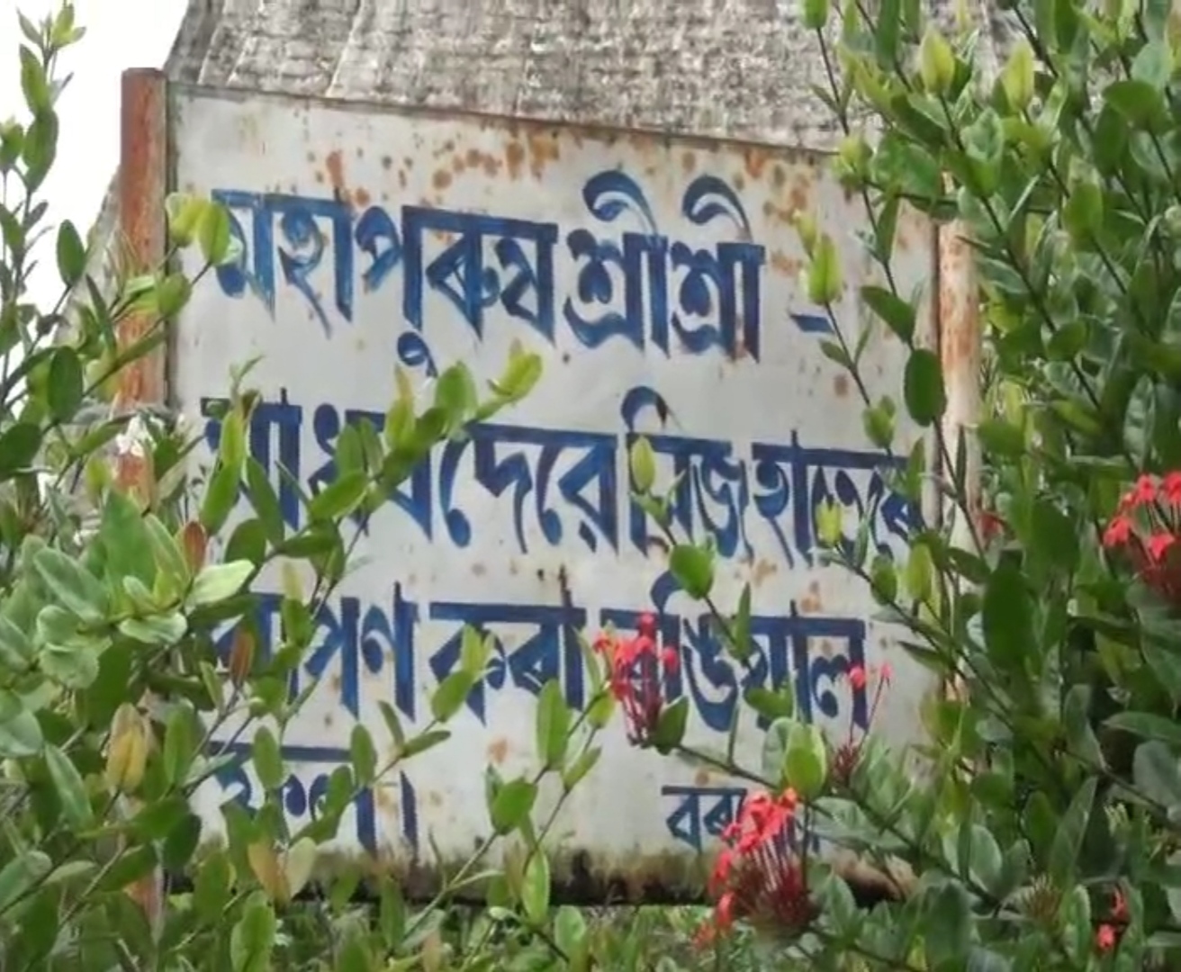 rangial planted by the great saint madhabdeva at barpeta