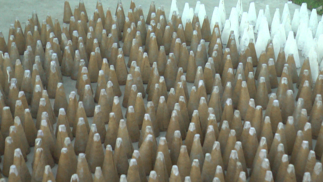 barpeta fireworks industry