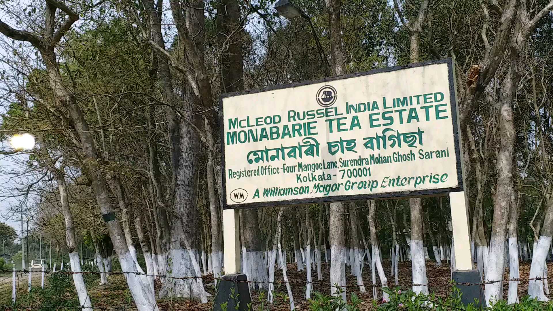 সদৌ অসম চাহ জনজাতি সন্থাৰ প্ৰতিবাদ