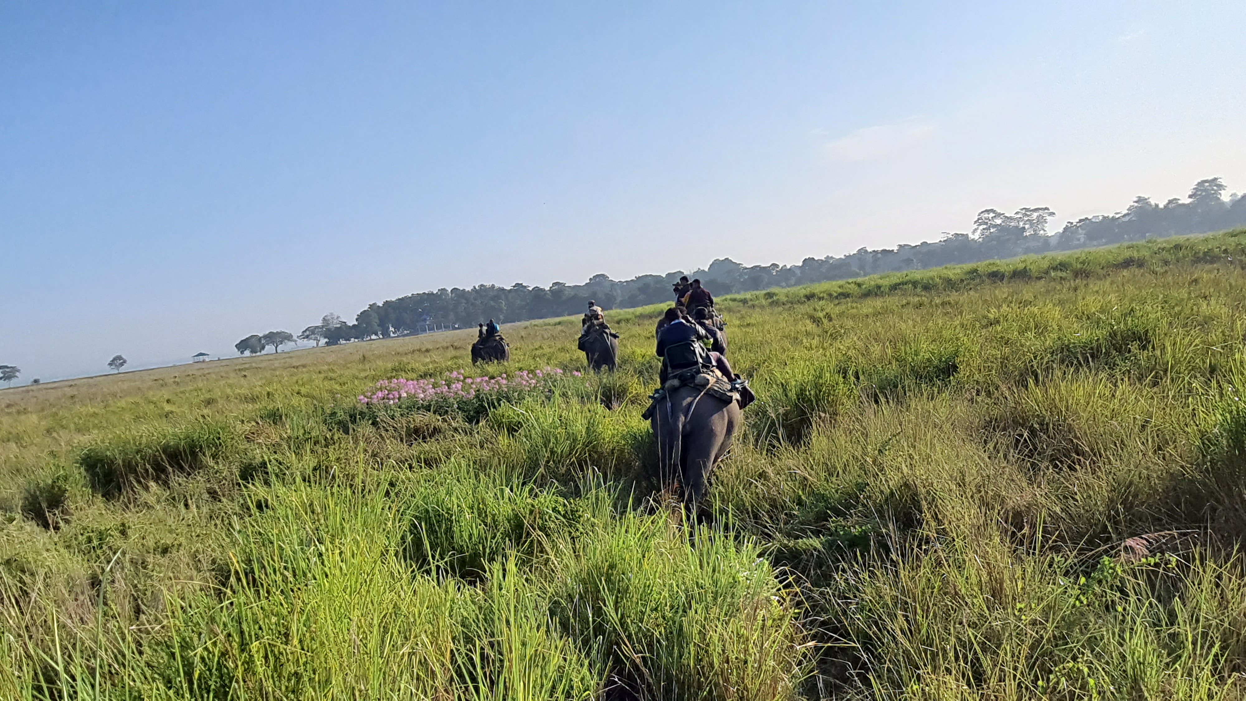 rush  of Tourist in Kaziranga National Park