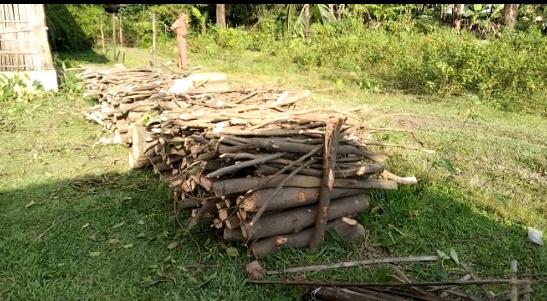 Bishwanath Assam Transport Corporation's deforestation