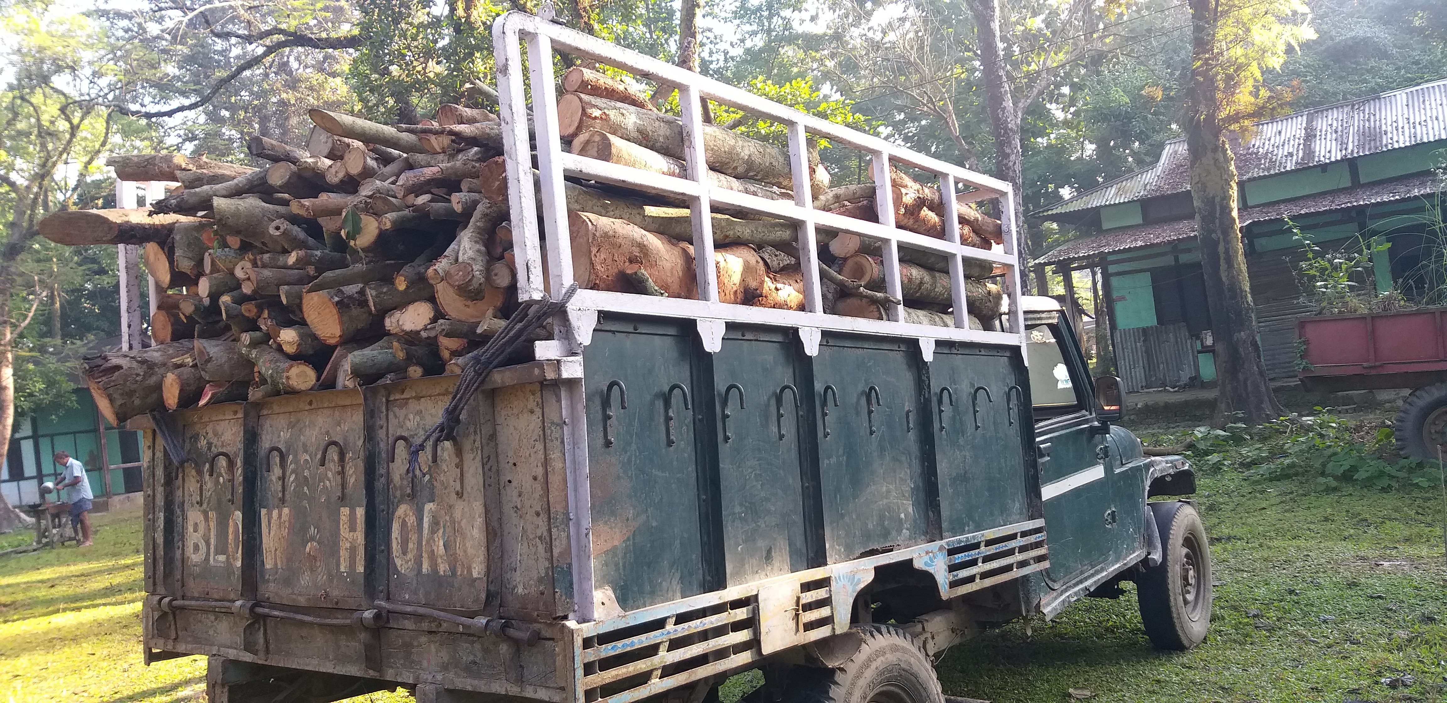 truck-full-of-wood-seized-in-biswanath-assam-etv-bharat-news