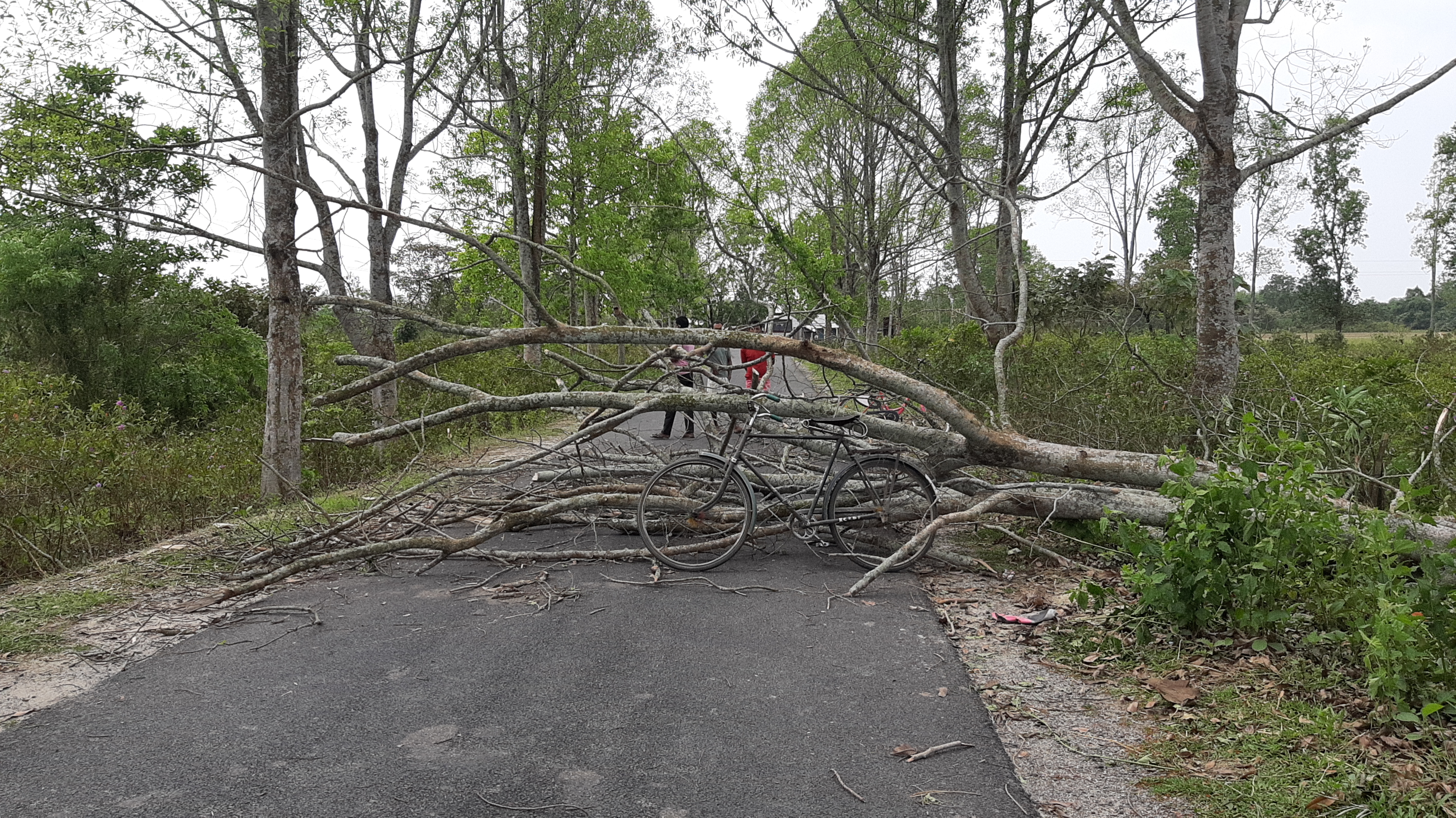 heavy thunderstorm in assam