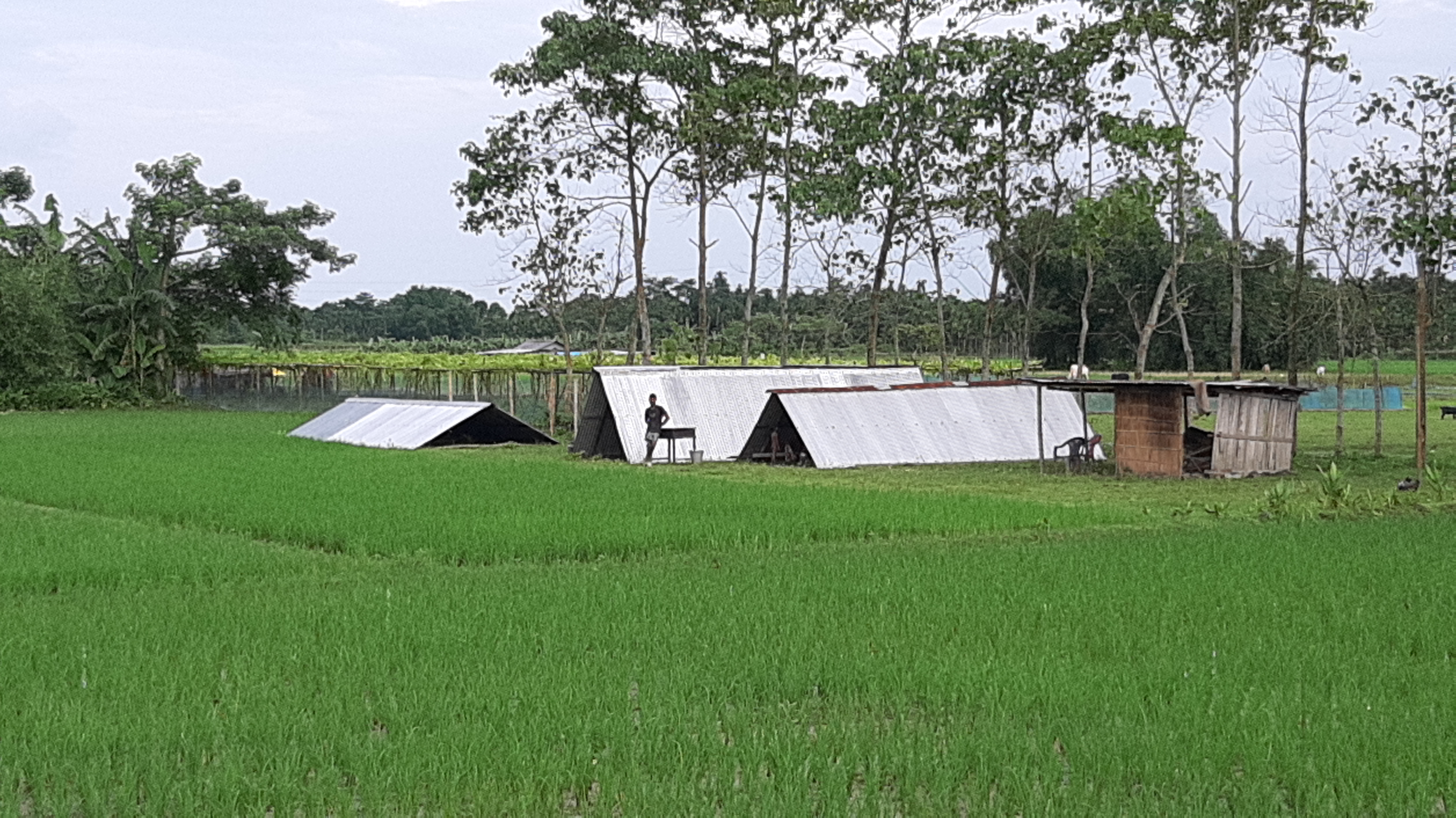 ৰাজ্যৰ বানত মৃতকৰ সংখ্যা 93 লৈ বৃদ্ধি