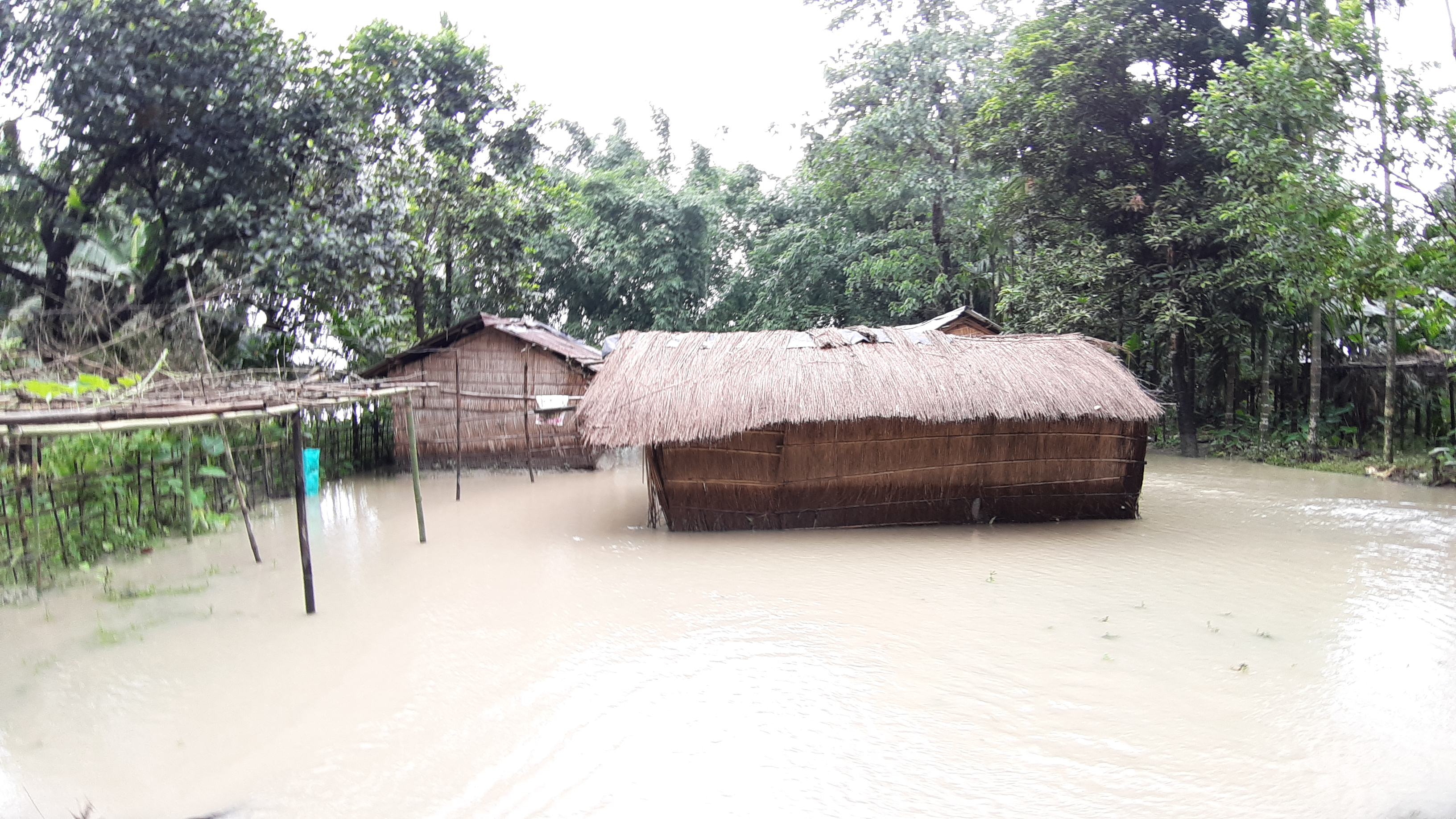 চিৰাঙত শোচনীয় বানৰ পৰিস্থিতি