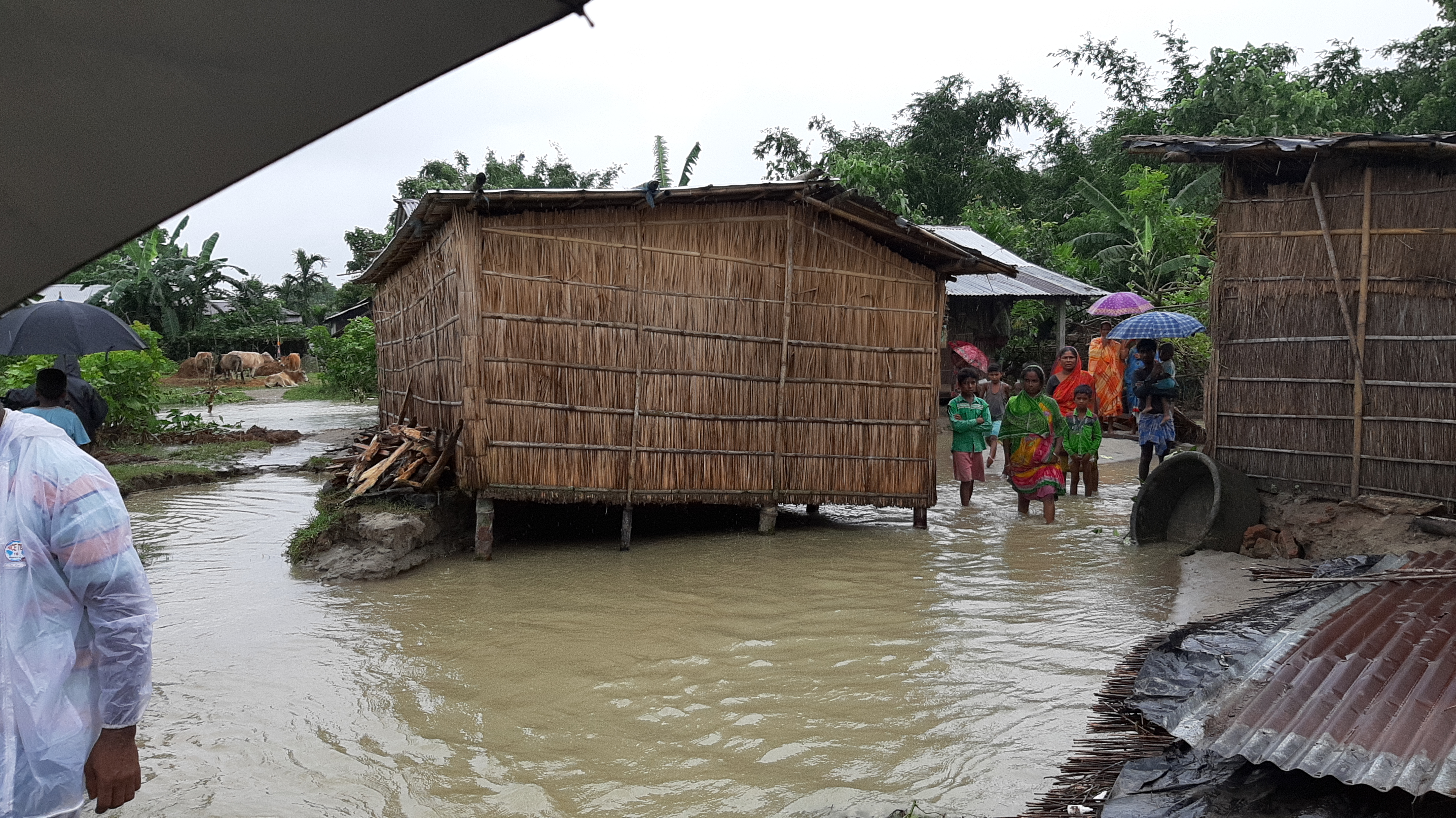 চিৰাঙত শোচনীয় বানৰ পৰিস্থিতি