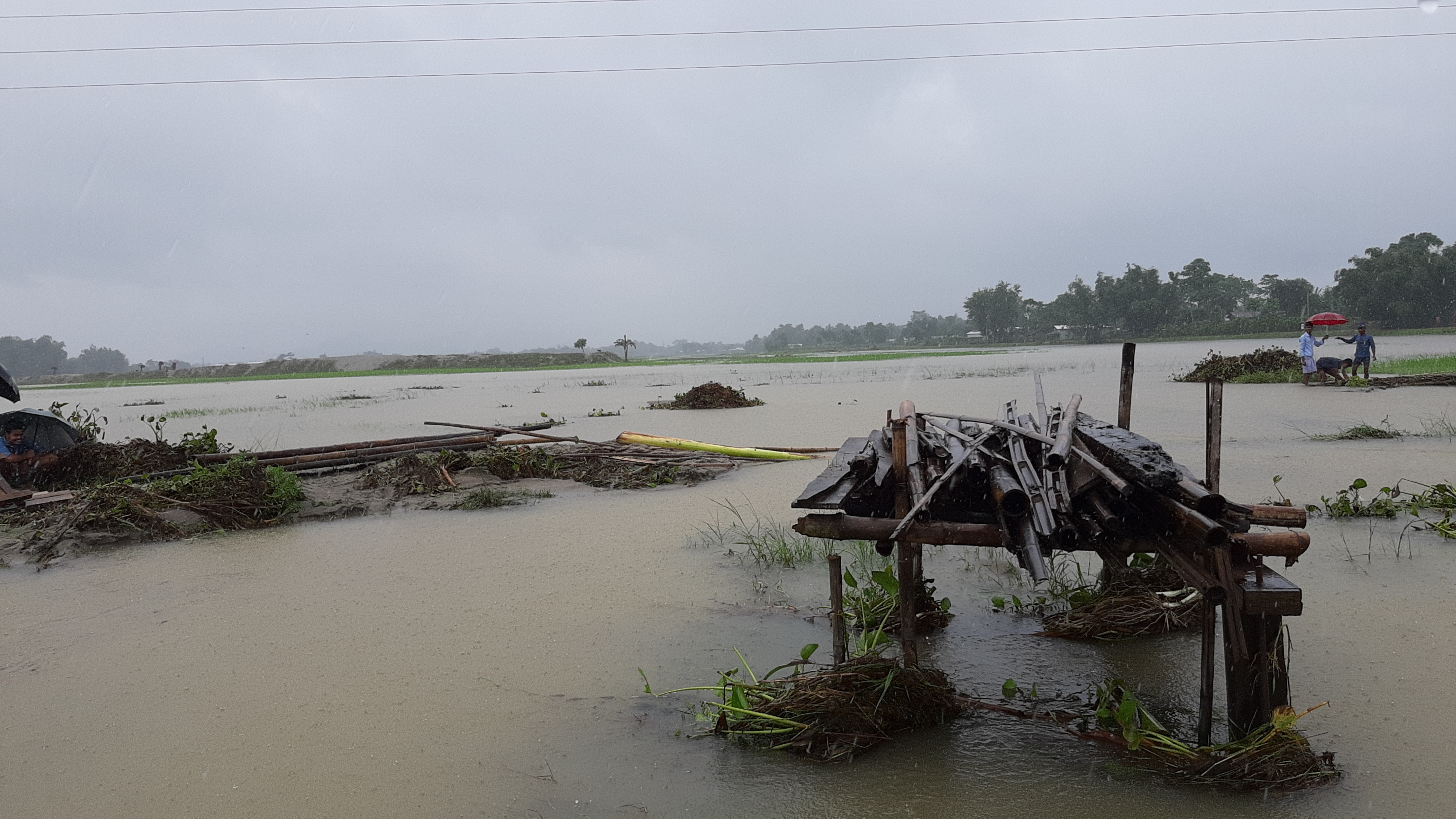 চিৰাঙত শোচনীয় বানৰ পৰিস্থিতি