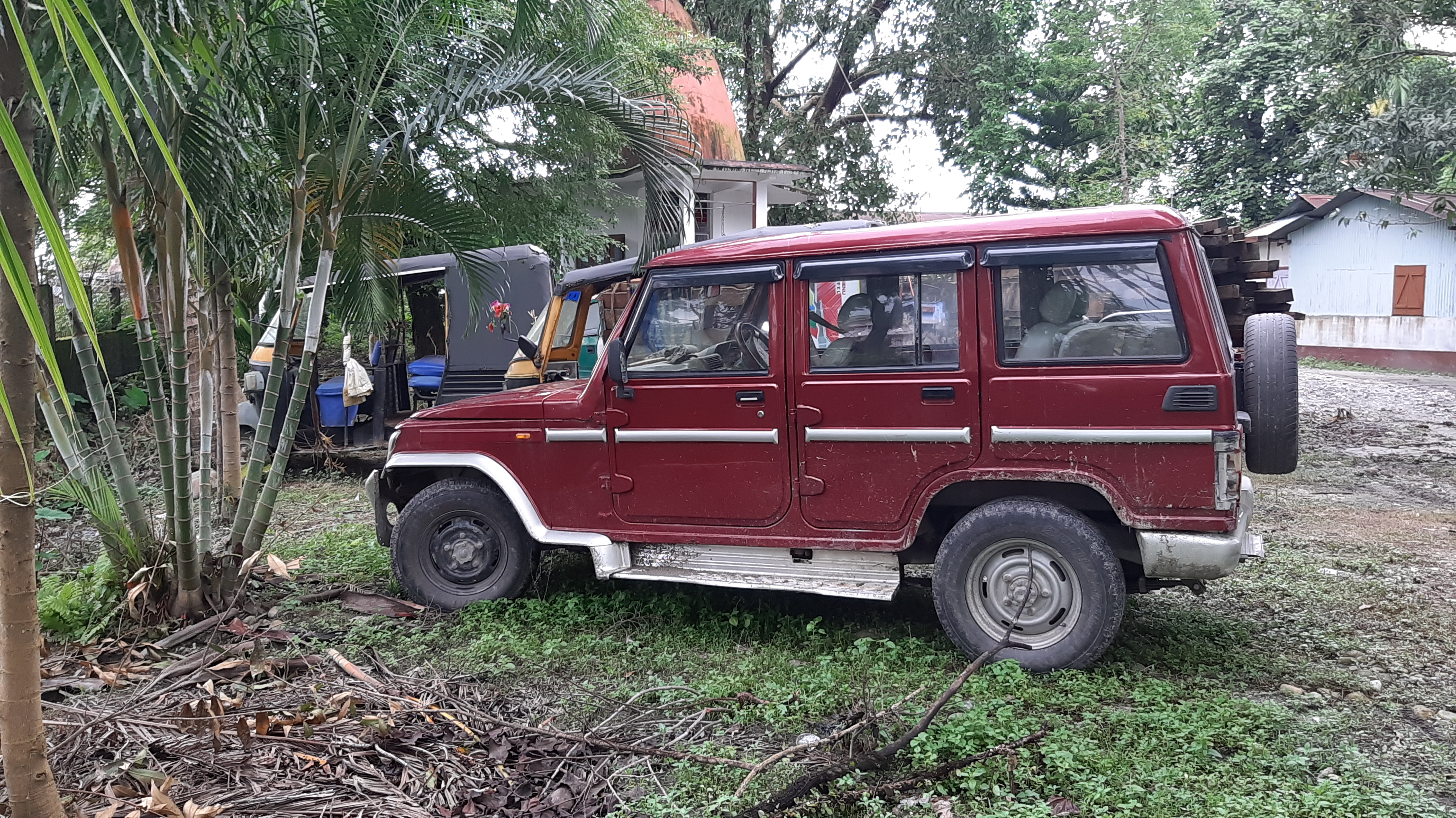 চিৰাঙত চোৰাং কাঠৰ বিৰুদ্ধে আৰক্ষীৰ অভিযান