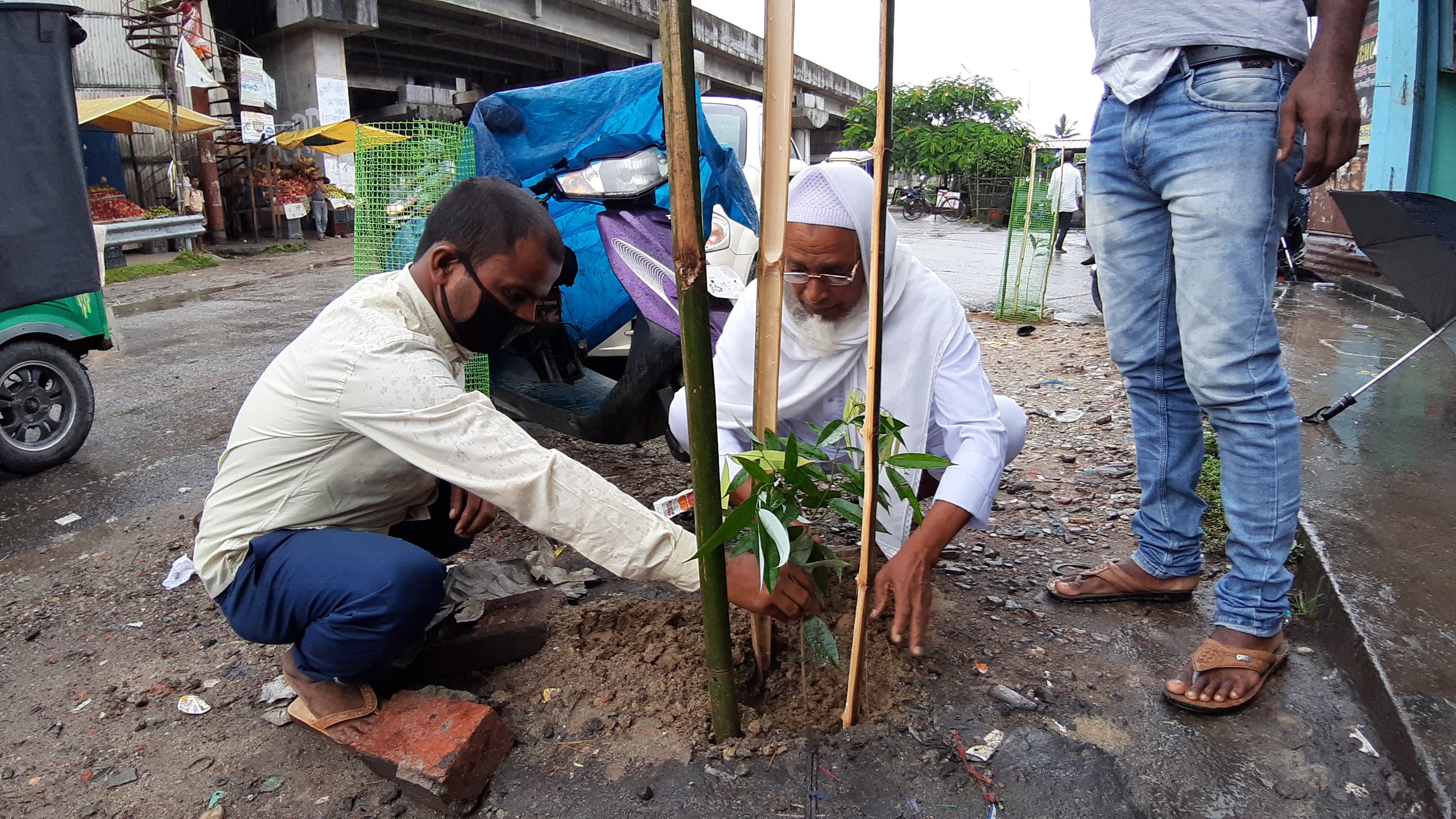 চিৰাঙত গছপুলি ৰোপন কাৰ্যসূচী