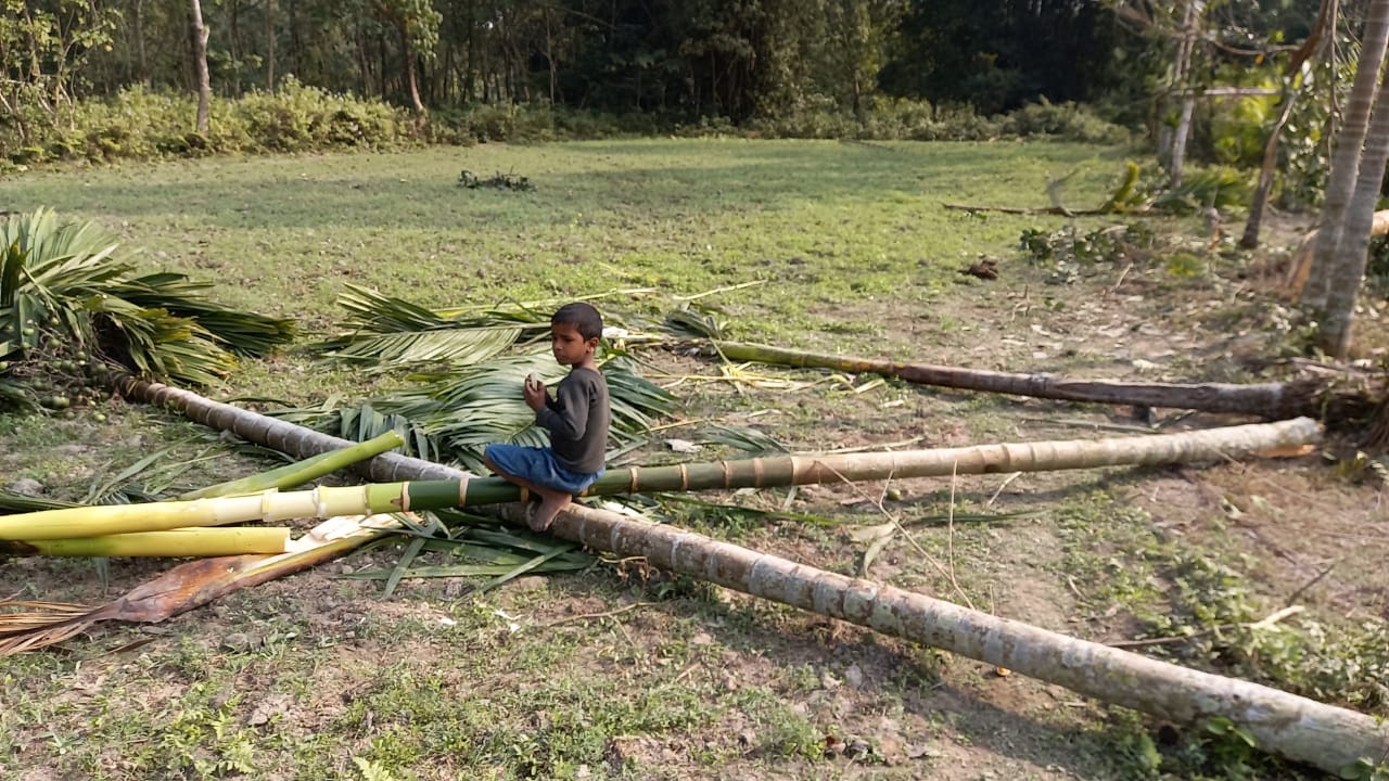 চিৰাঙৰ বিভিন্ন অঞ্চলত বন্য হস্তীৰ উপদ্ৰৱ