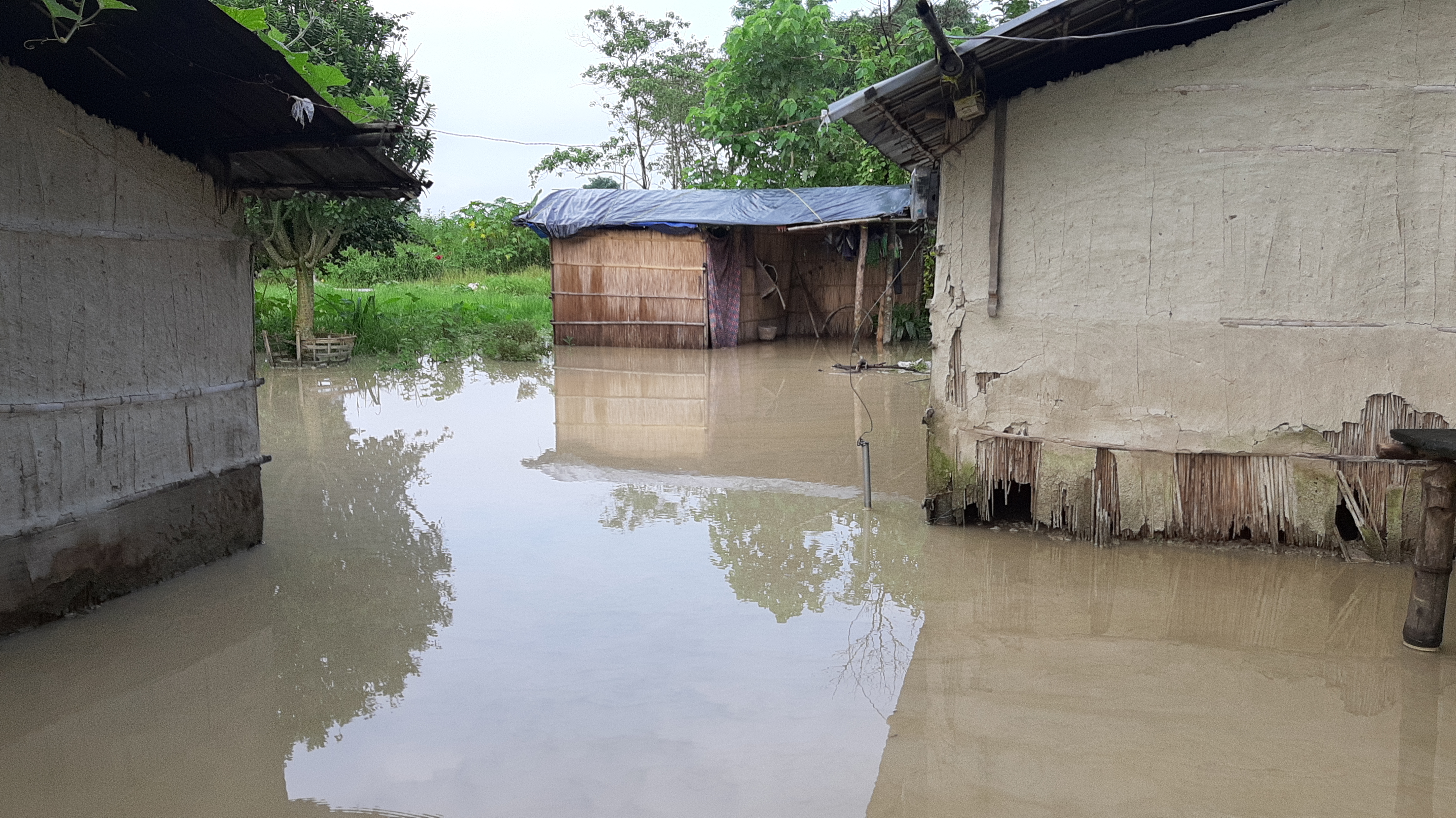 Nijala and other rivers erosion at Chirang