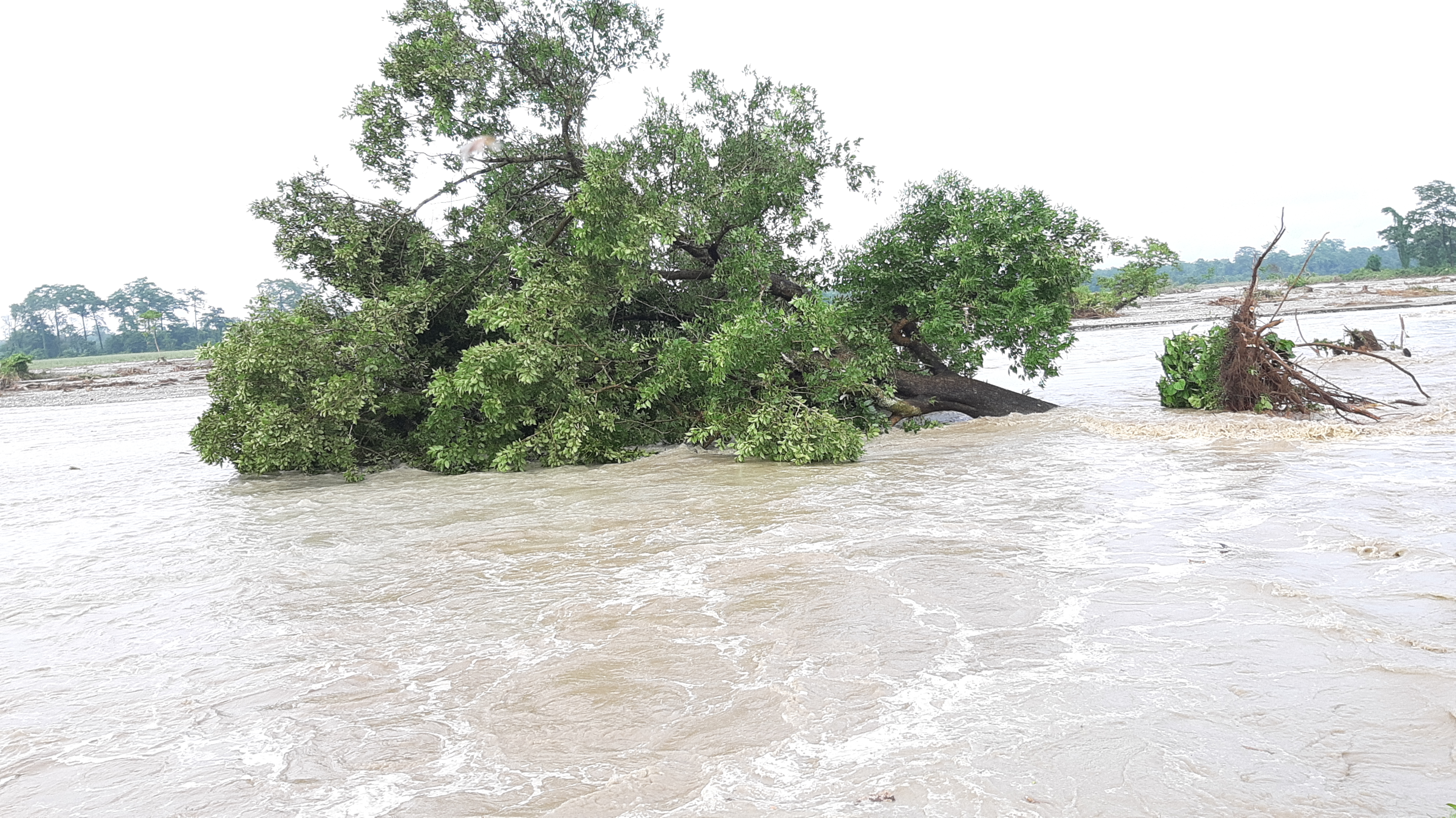 Nijala and other rivers erosion at Chirang