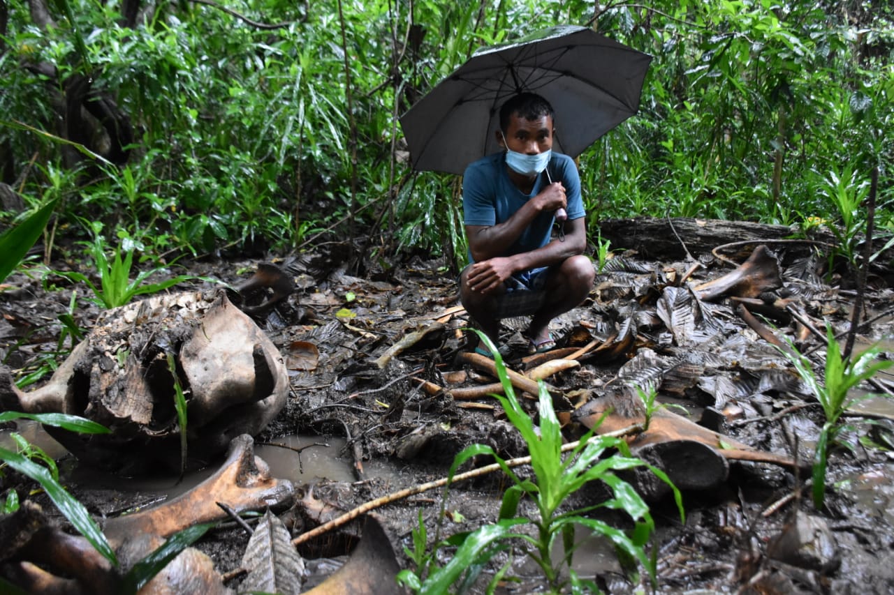 Elephant poacher arrested at Chirang by Forest department