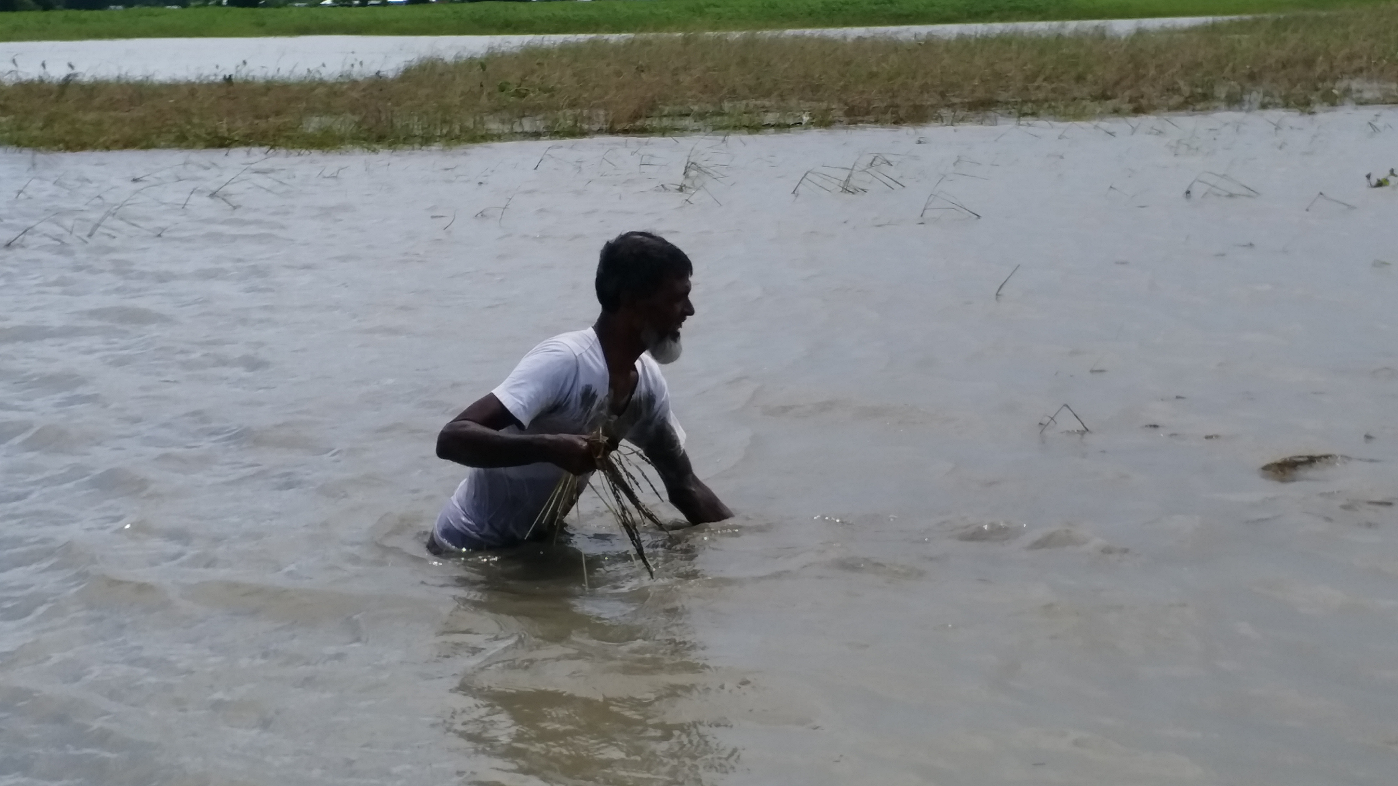 প্ৰলয়ংকাৰী বান