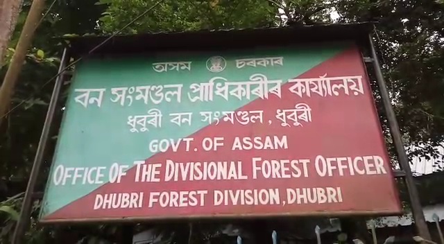 forest syndicate at dhubri  district