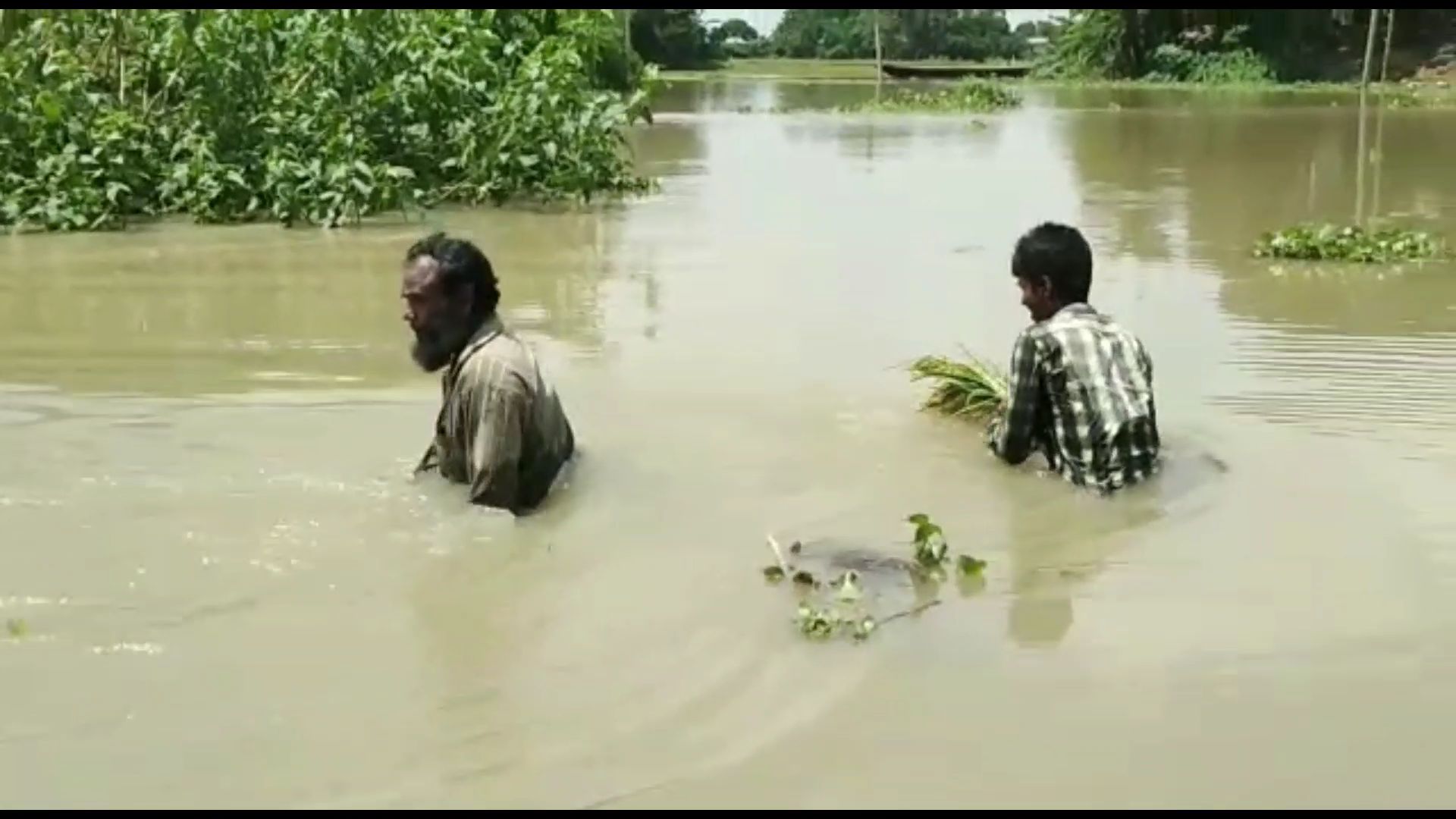 Flood in south Salmara Assam