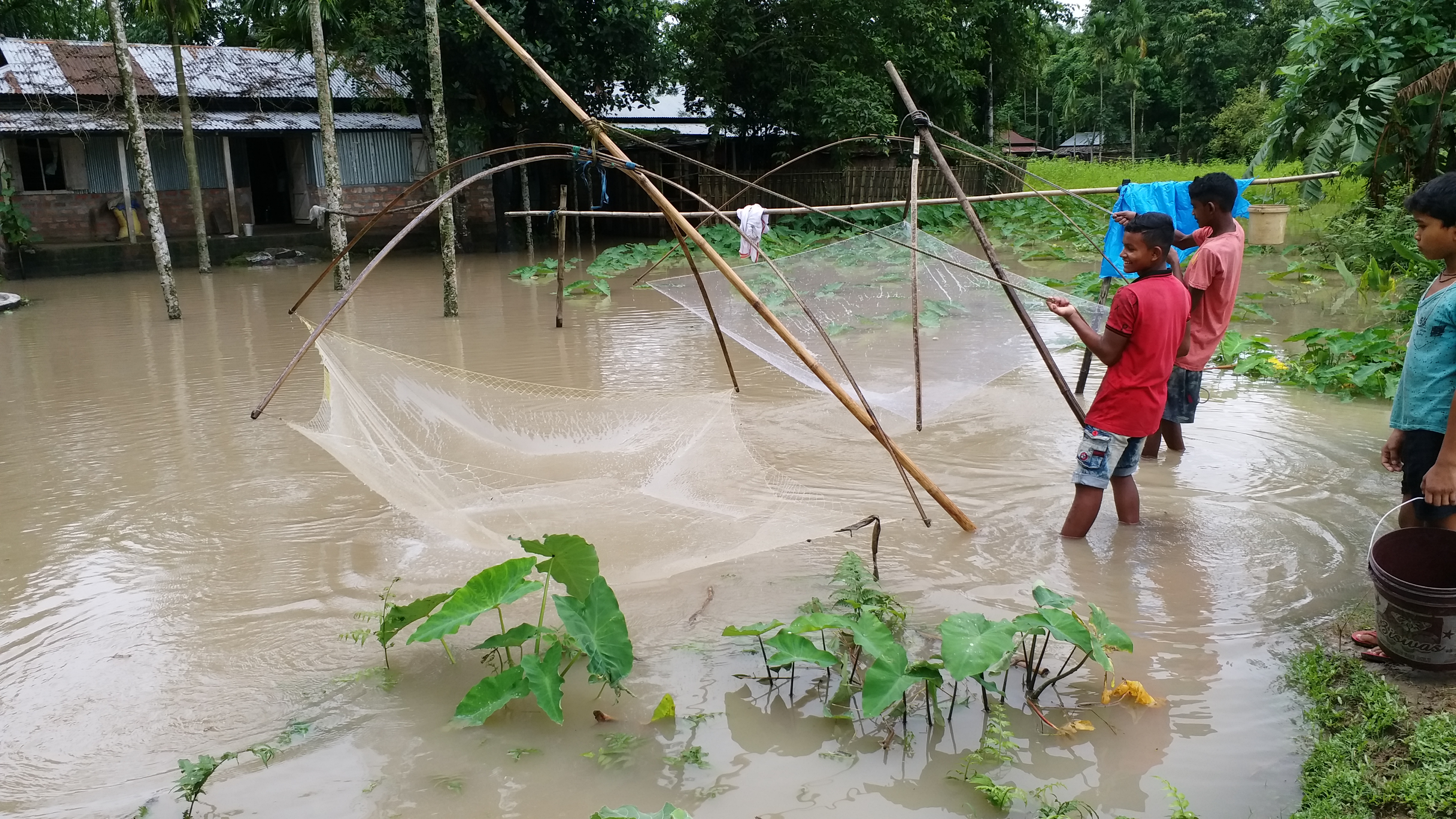 ধুবুৰী