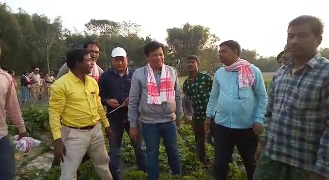 badam-cultivation-in-dhubri