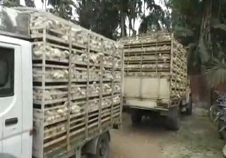 After the ban, broilers were imported from West Bengal