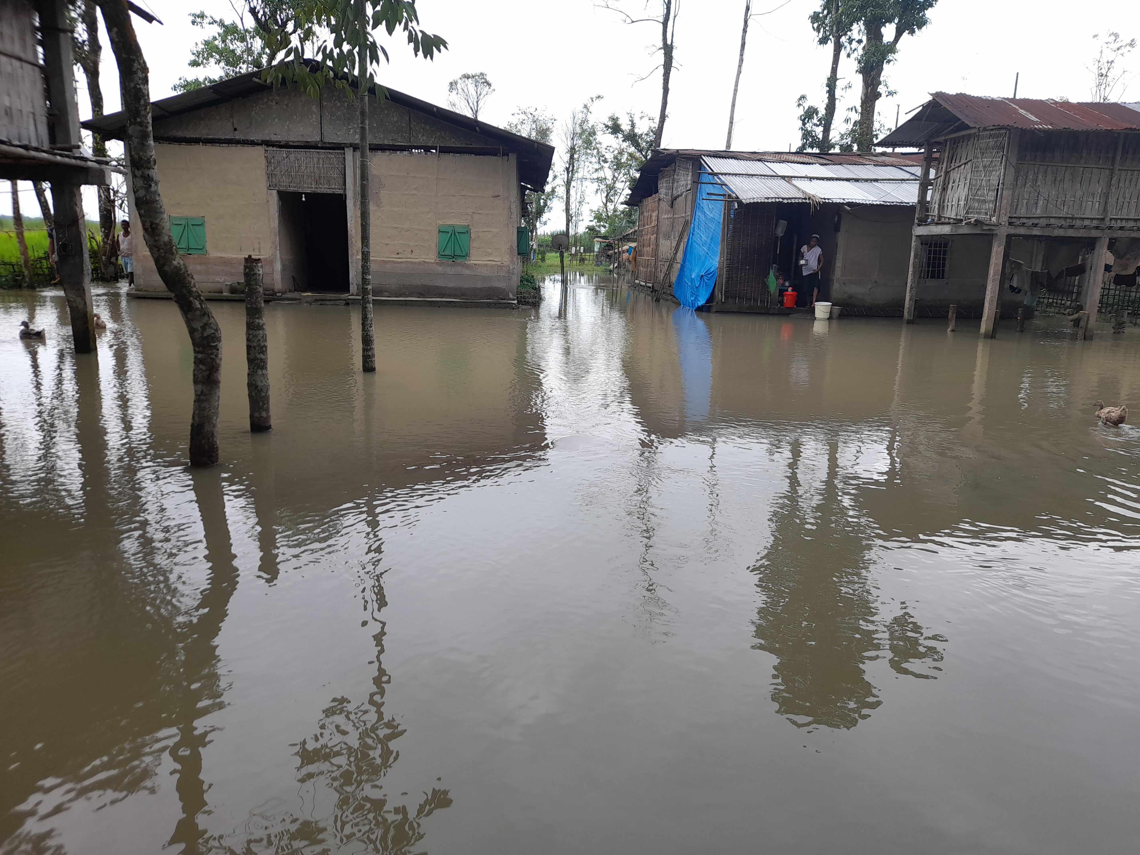 Dhemaji flood update