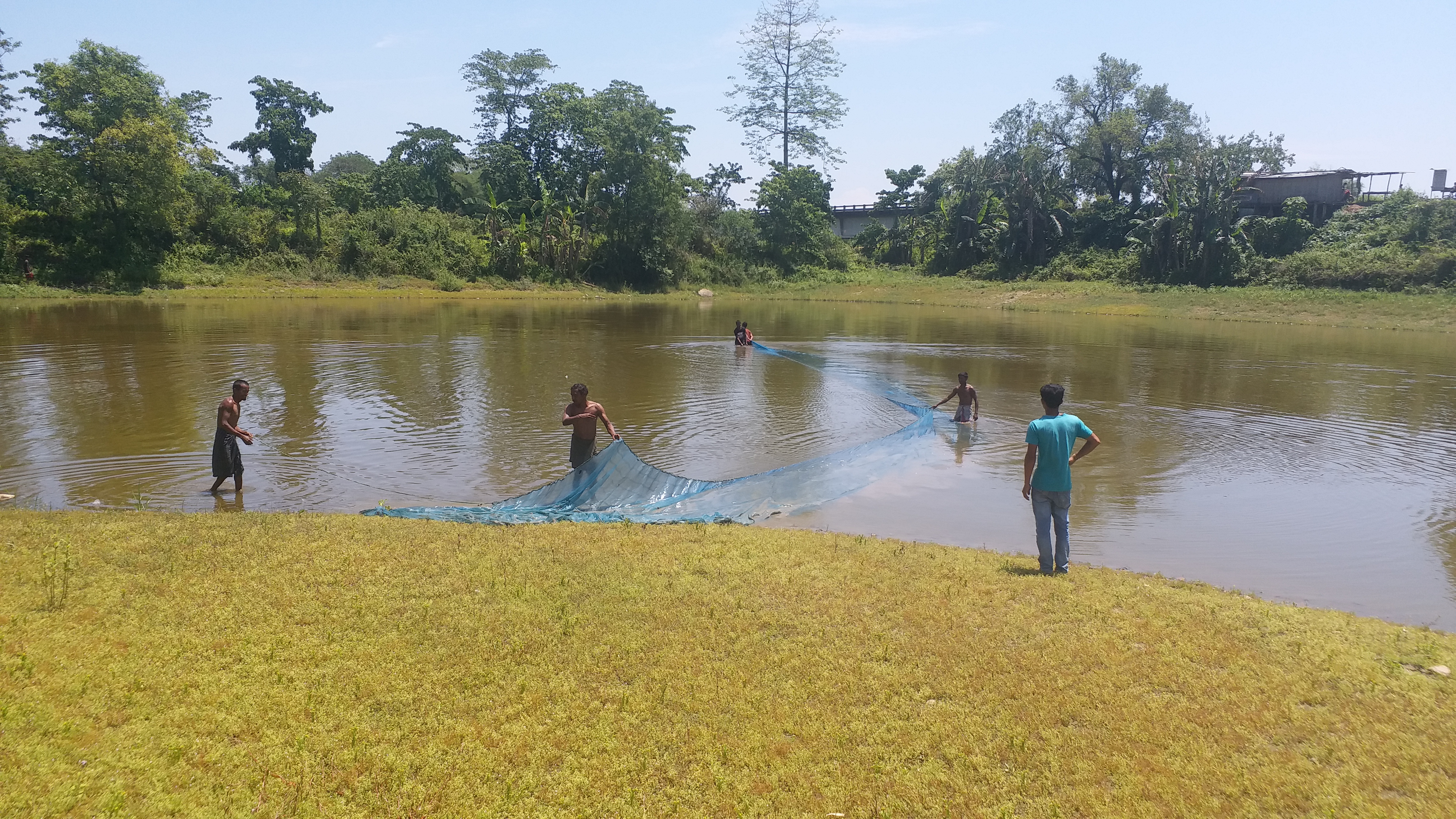 fish cultivators faced problems