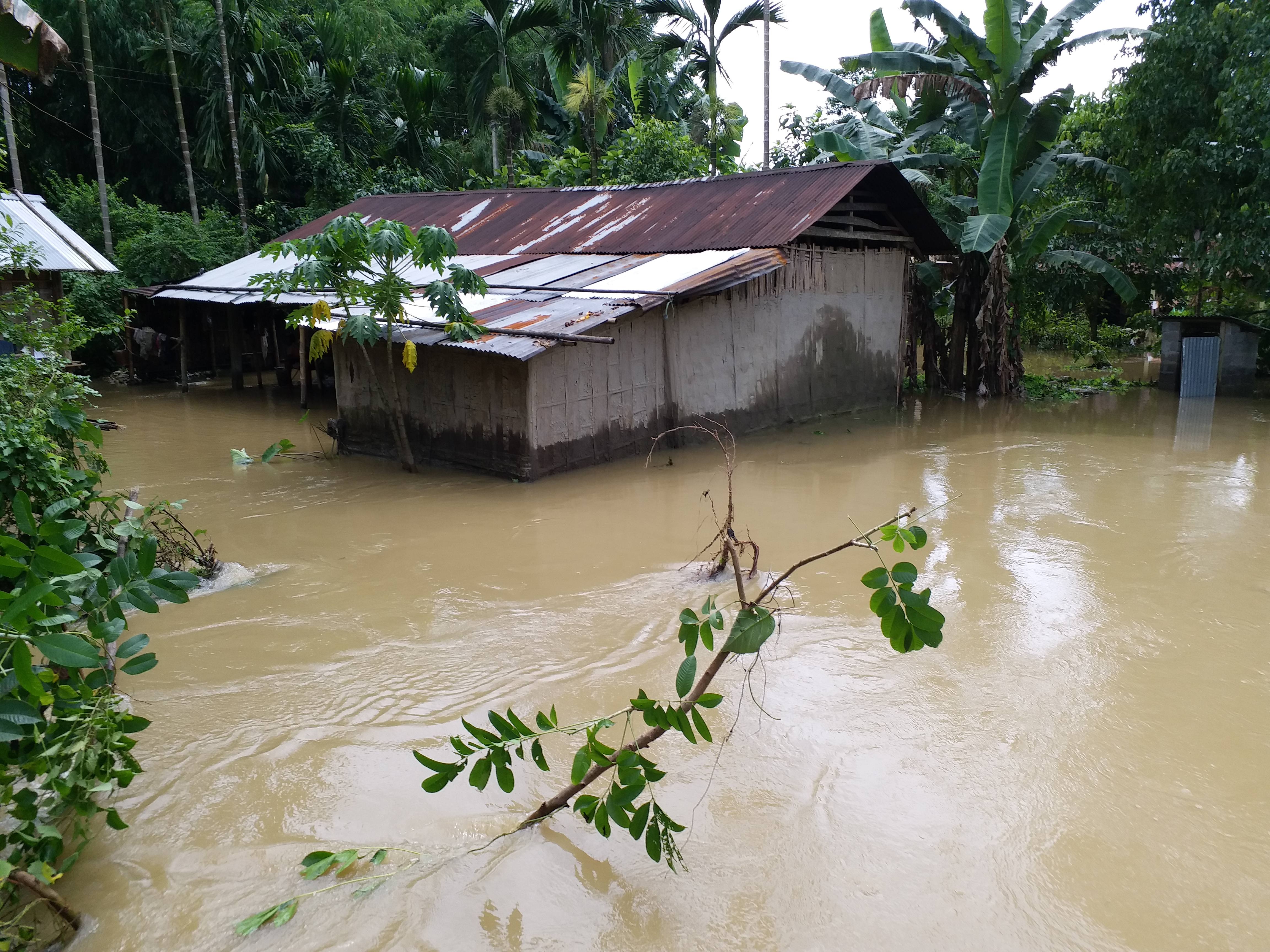 flood level increase at rai and balisori of dhemaji